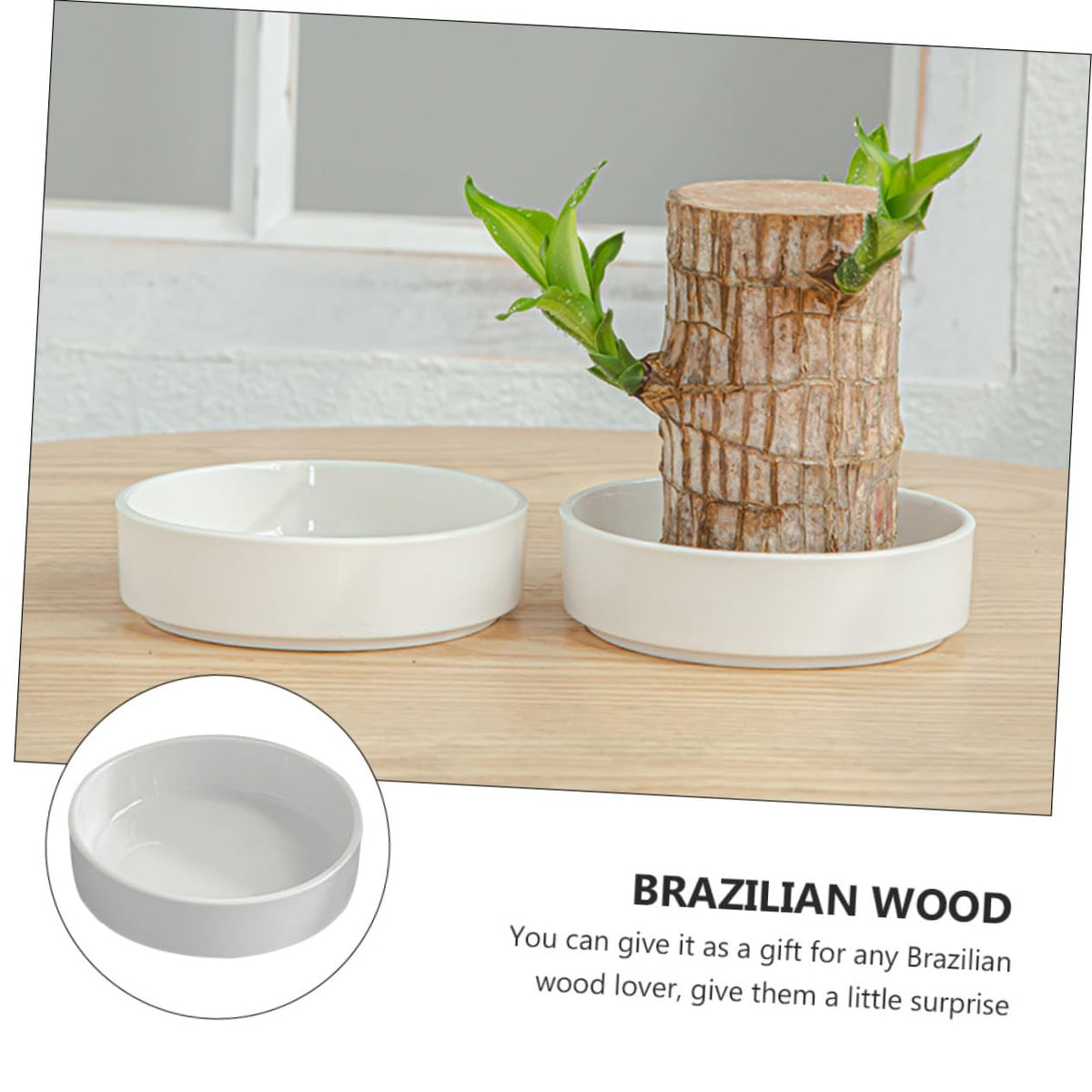 OFFSCH Ceramic Plant Tray for Brazilian Wood Pot 2Pcs - Decorative Saucer for Home and Office Easy to Clean Prevents Water Spillage