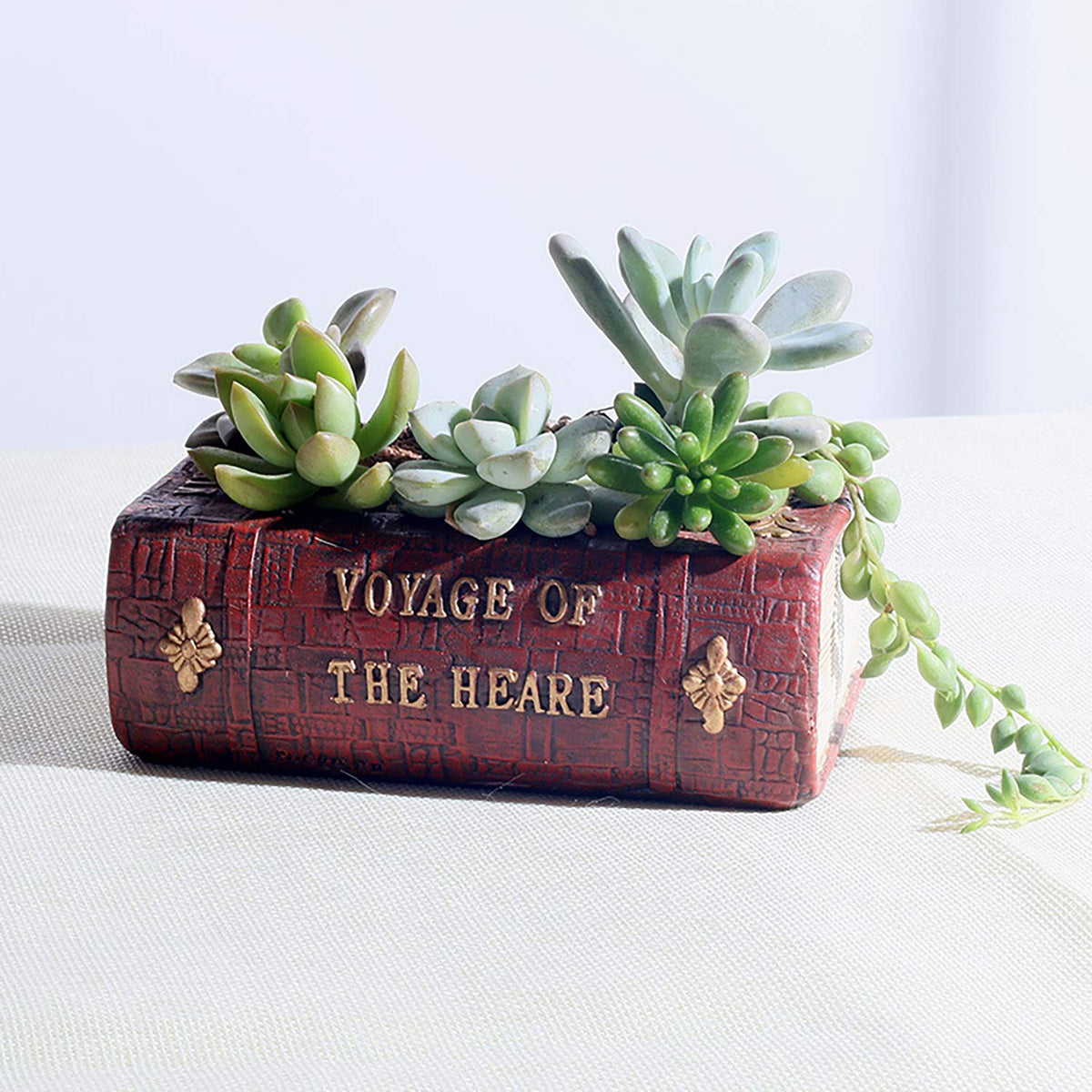 Aygrün Succulent Pots Book Shaped Planter - Cute Resin Flower Pot Bookshelf Decor Creative for Sempervivum with Drainage, Gift for Women, Man, Office, Indoor Plants, Book Lovers, 7.0″x5.0″x2.3″