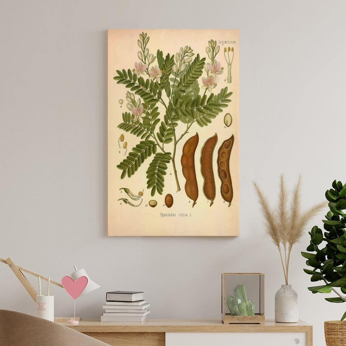 Tamarind Tree Plant Knowledge Poster Canvas Wall Art Posters For Room Aesthetic And Decor Poster For Bedroom Living Room Bathroom Kitchen Office Decor 24x36inch(60x90cm) Unframe-style
