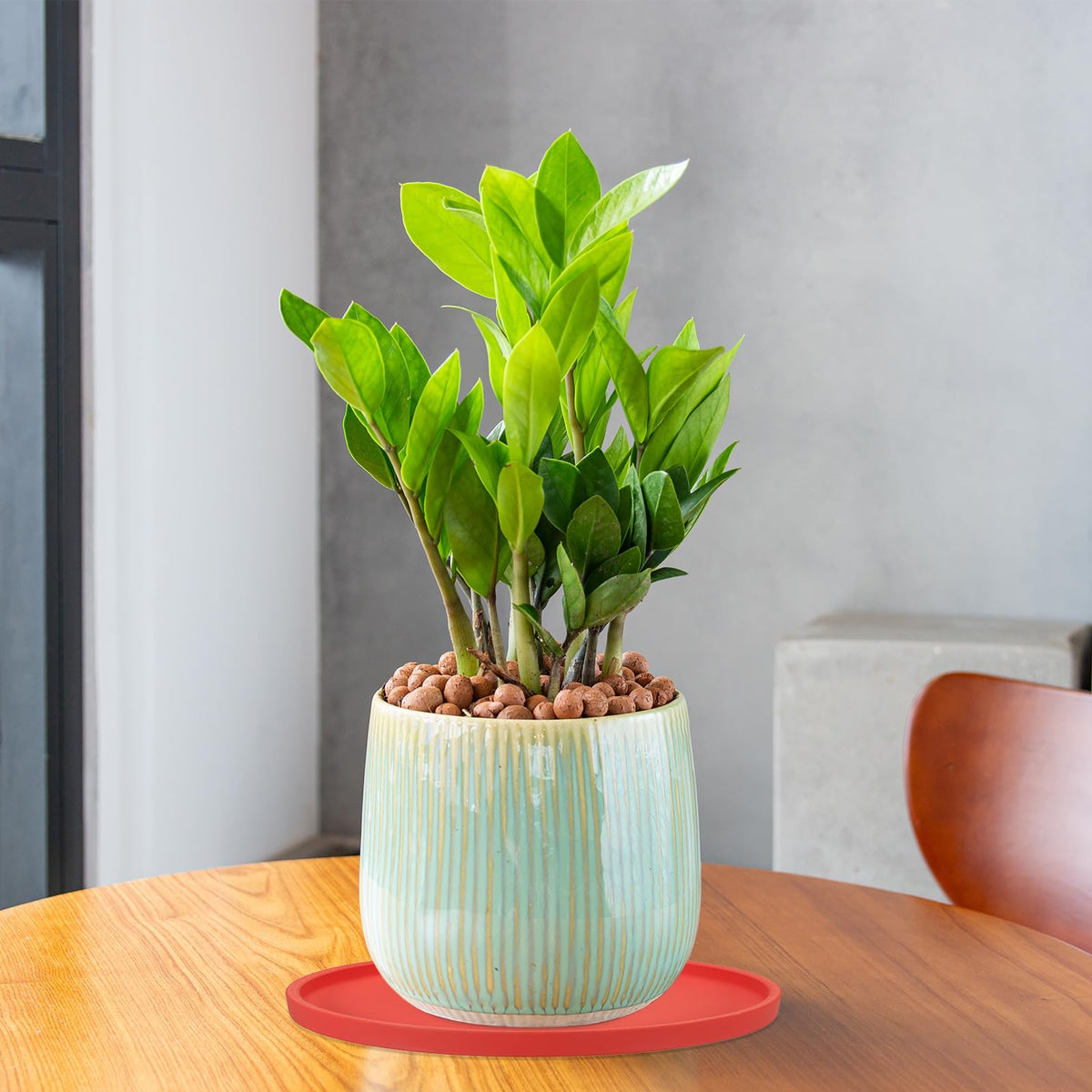 PATIKIL 7.7 Inch Round Ceramic Plant Saucer, Plant Saucer Tray Flower Planter Drip Tray for Indoors Outdoors Patio Balcony, Mint Green