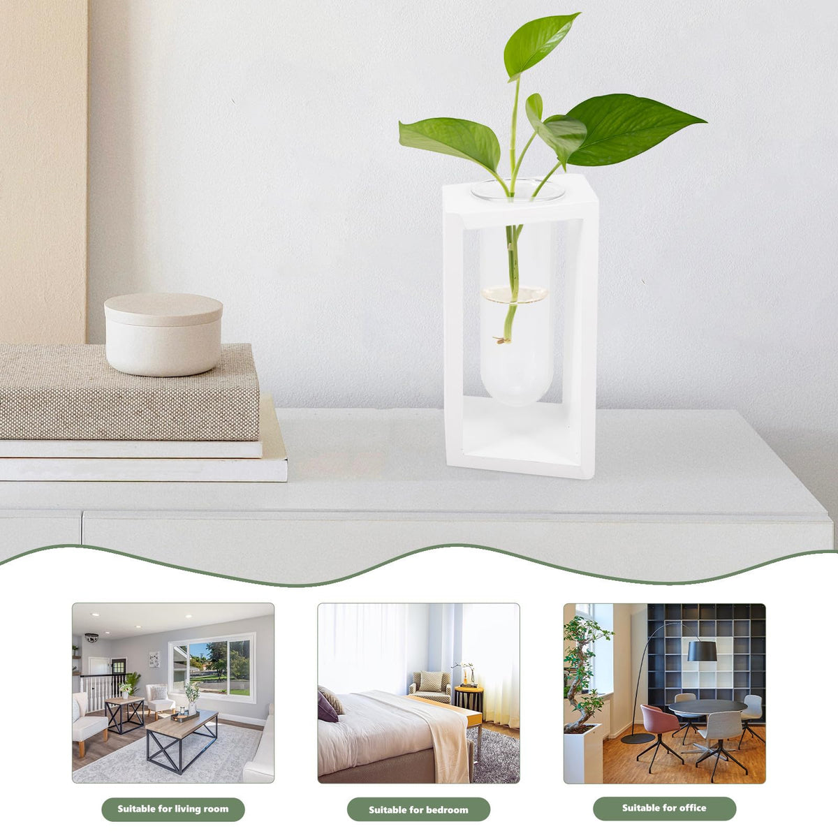 minkissy Test Tube Glass Vase with White Wooden Rack Small Hydroponic Plant Holder for Indoor Wall Garden Terrarium Home Décor