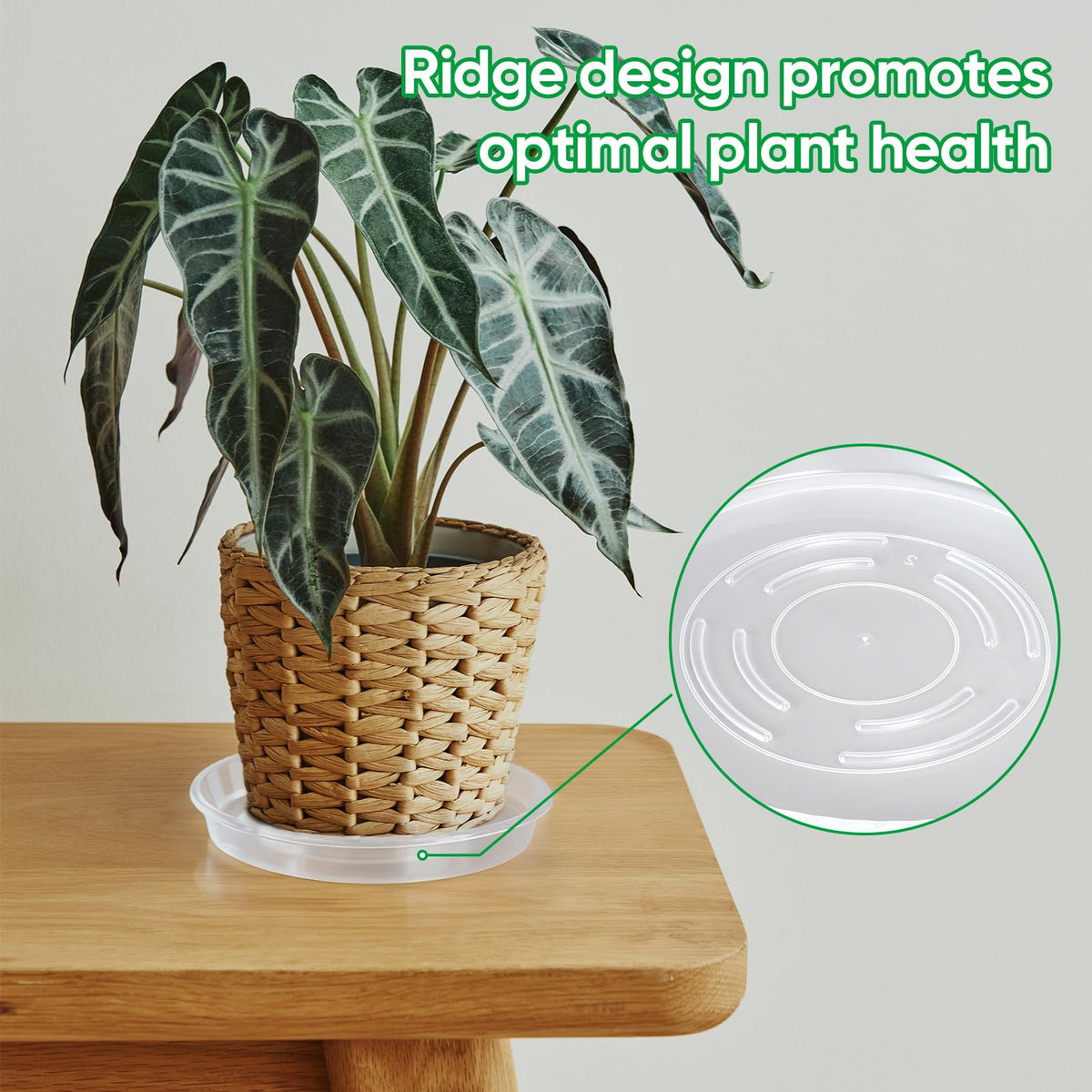 Dovesail 25 Pack Plant Saucer Tray, 6/8 / 10/12 /14 inch Heavy Duty Flower Pot Trays, Plastic Plant Saucer for Indoor & Outdoor Plants, Plant Trays to Catch Water, 5 Pieces of Each Size