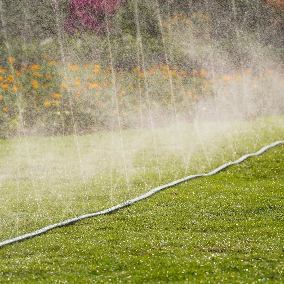 DXront Sprinkler Soaker Hose 50ft for Garden Lawn, Watering Pipe with Holes, High-Efficiency Water-Saving Garden Irrigation System, Drip Hose Sprinkler