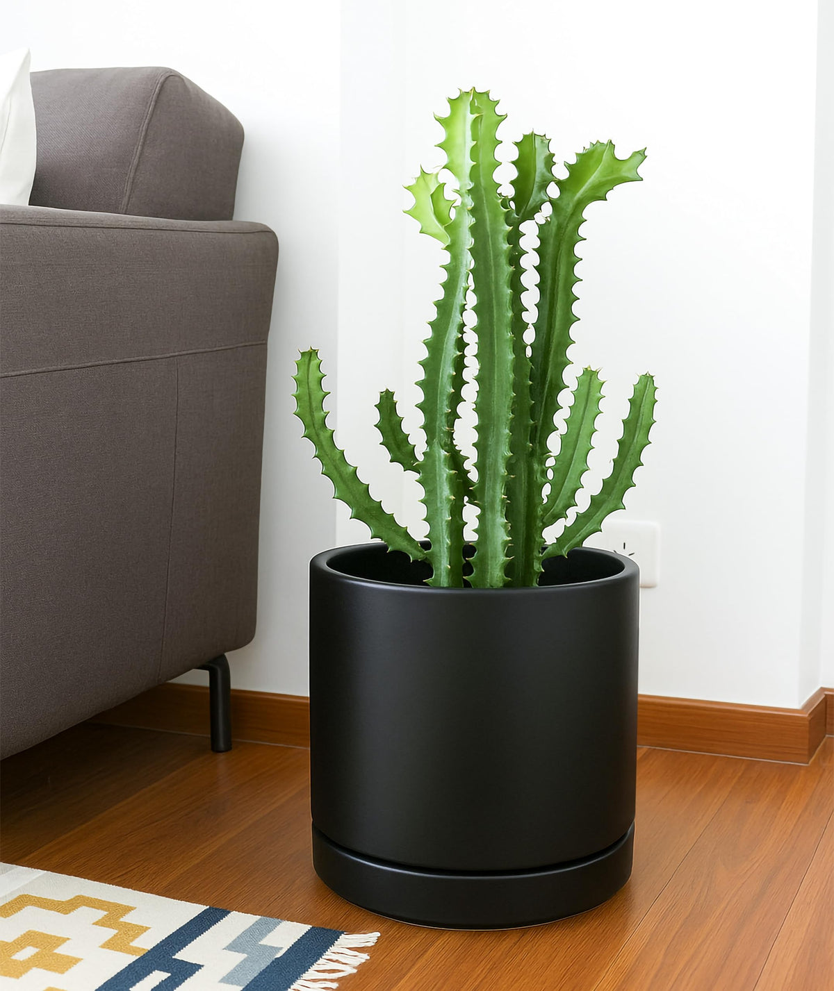 D'vine Dev 10 Inch Ceramic Planter Pot with Drainage Hole and Saucer, Indoor Cylinder Round Planter Pot, Black, 94-O-E-2