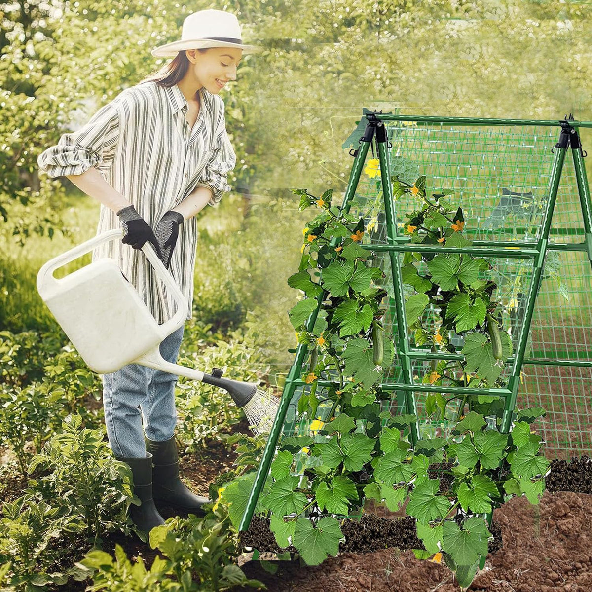 JK-GMTE Cucumber Trellises A Frame Plant Supports Green Trellis for Cucumber, Climbing Plants Vegetables Flowers (Green) 47x15in
