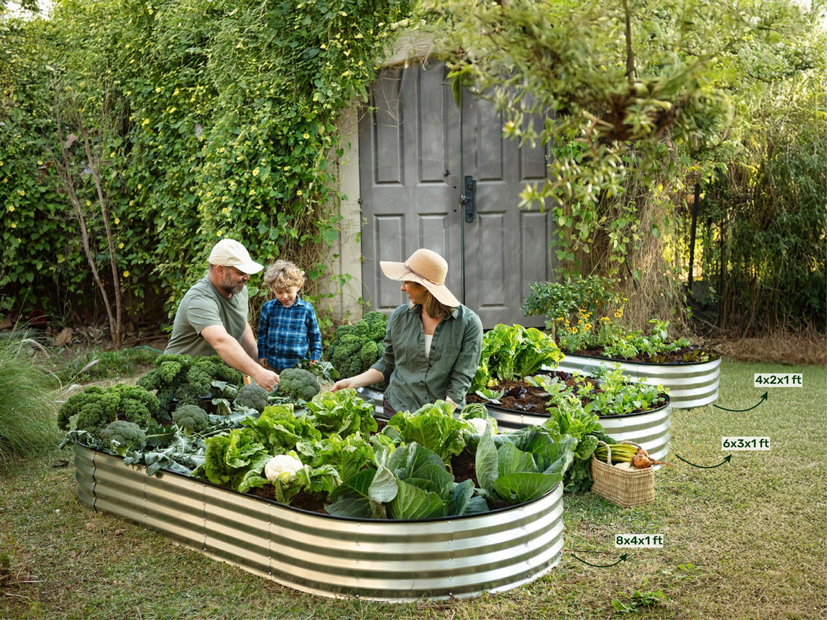 Plant & Plot Galvanized Raised Garden Beds Outdoor // 6×3×1 ft Planter Raised Beds for Gardening, Vegetables, Flowers // Large Metal Garden Box // Patented Tool-Free Design (Silver)