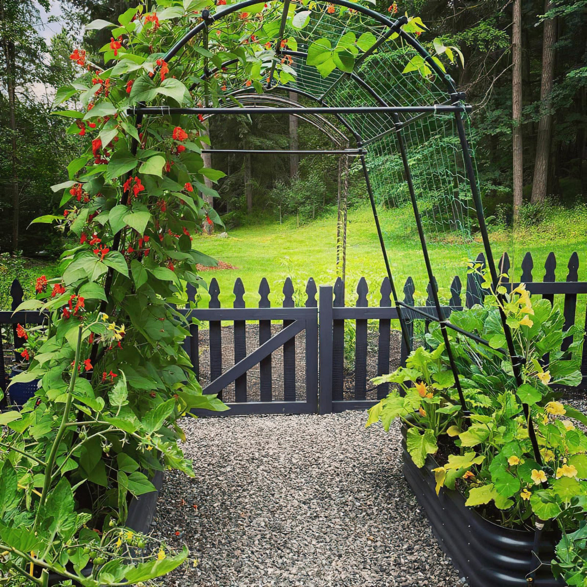 Garden Arch Trellis 7FT Extra Tall Polyethylene-Coated Stainless Steel Garden Trellis for Climbing Plants Outdoor Garden Trellis Arch for Cucumber Trellis | Gardening Trellis with Clips (Black)