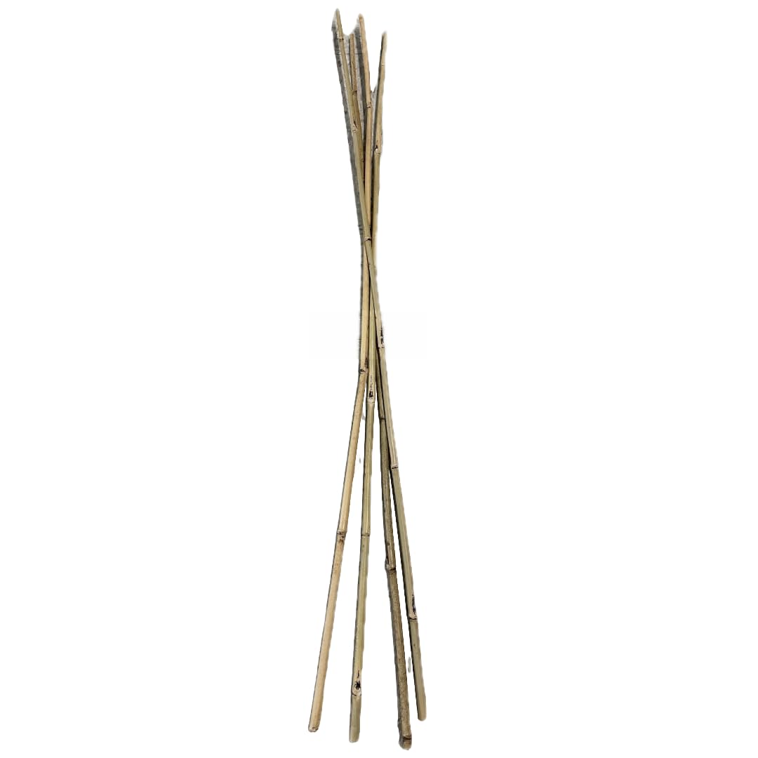 Farm Plastic Supply - Bamboo Garden Stakes - Bambo Sticks, Bamboo Plant Stakes for Outdoor Plants, Plant Support Stakes for Indoor Plants (7 Foot, 100)