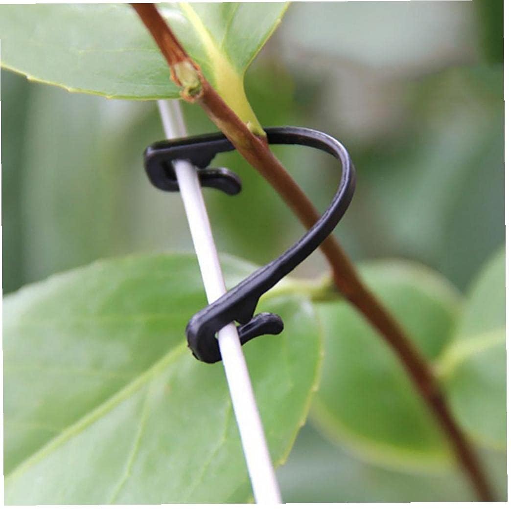 HiSpkNix 300PCS Grape Vine Trellis Clips - Compatible with Raspberry Canes, Kiwi, Grapevines, Plant Support Ties, Garden Training Buckles & Hooks
