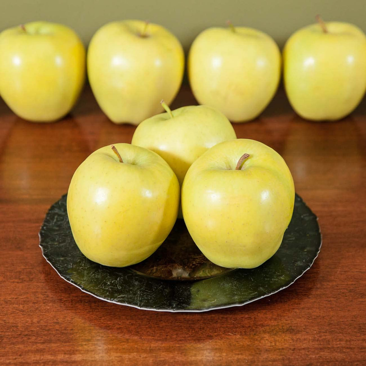 Perfect Plants Golden Delicious Apple Tree 1 Gallon | Live Fruit Trees for Outdoor Planting | Self Fertile & Easy to Grow | Sweet & Healthy Fruits Perfect for Home Gardens
