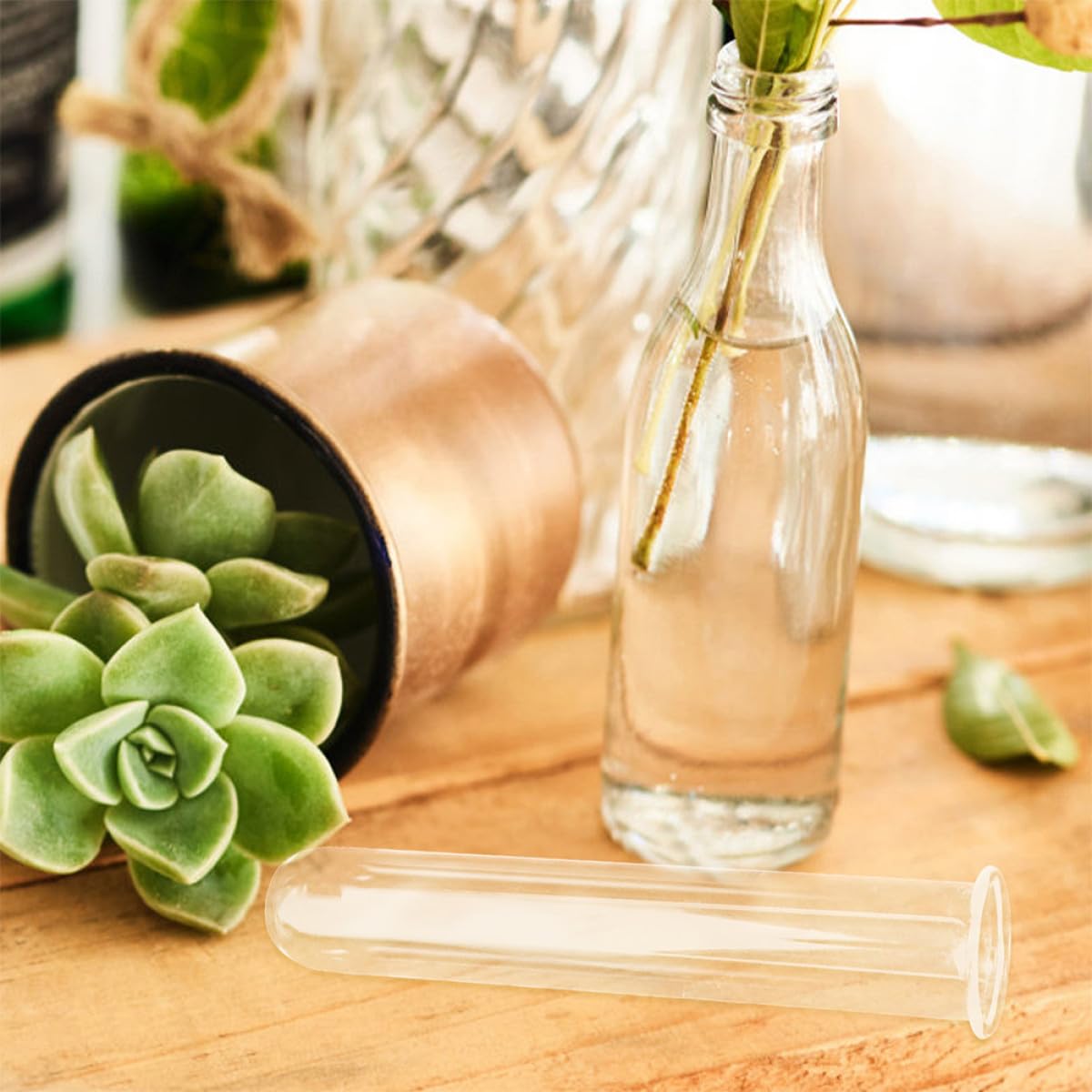 Healifty 4pcs Glass Hydroponic Tube Vase Set 2.5x3x18cm Test Tube Propagation Planter for Desktop Terrarium and Plant Propagation Home Décor