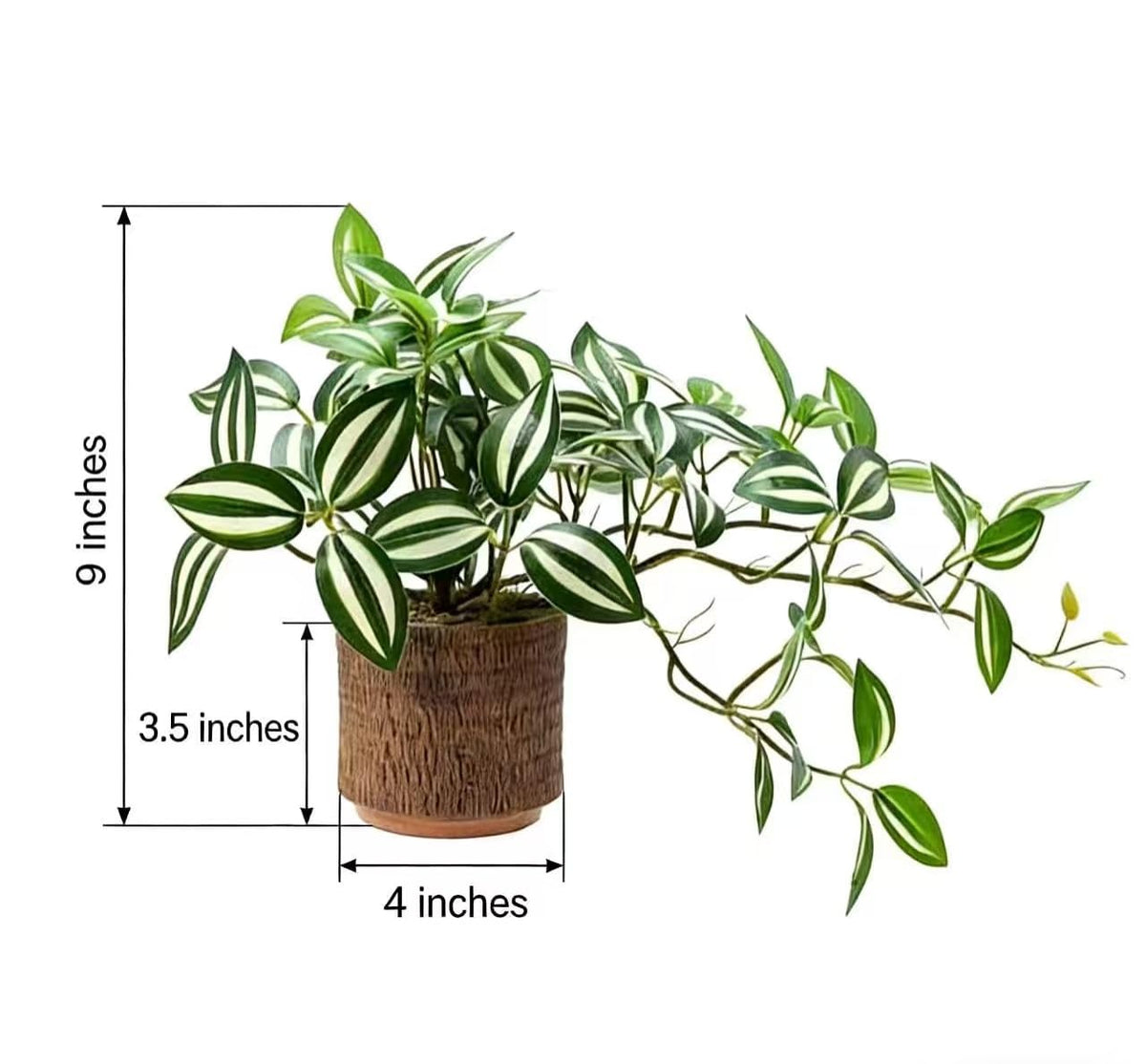 EZBOHO 8.5" Artificial Trailing Peperomia Vine in Textured Light Coffee Ceramic Pot 12" Wide Lifelike Faux Round-Leaf Plant for Indoor Home Office Desk Shelf Bathroom Decor