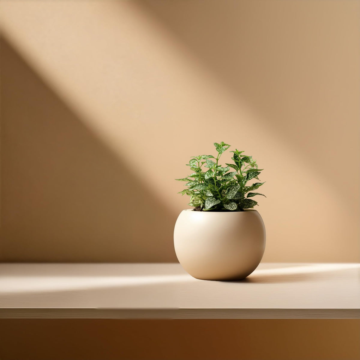 LAMENICO Ceramic Self Watering Plant Pot | 6.8 Inch Pot with 4.5 Inch Inner Pot for Small Plants | Ivory Pot for Indoor Plants | Round Self Watering Planter | Bottom Watering Pots for Indoor Plants