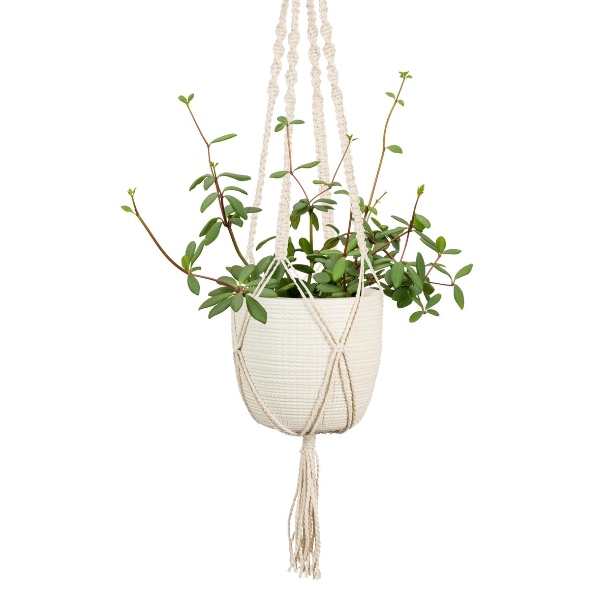 SCHEURICH Alaska Ceramic Hanging Pot – 7.1" Indoor Planter with Metal Chains - Waterproof & UV-Resistant - Stylish Modern Hanging Basket for Plants, Ferns & Succulents - Made in Germany - 0.4 gl