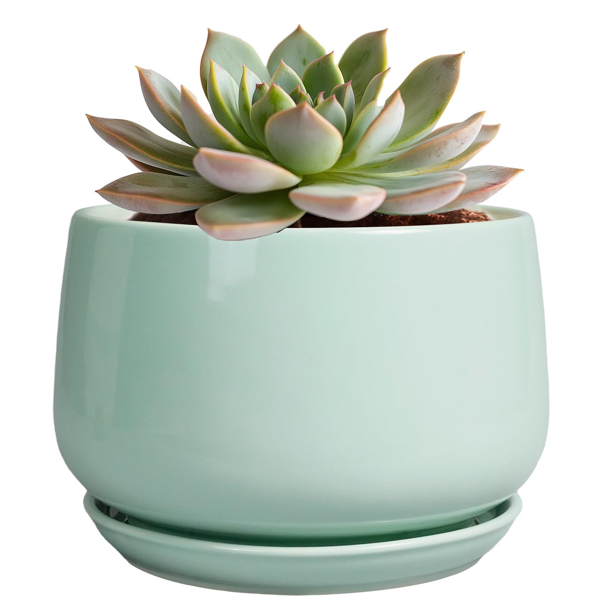 G EPGardening Ceramic Plant Pots - 6 Inch Pot for Plants, Ceramic Planter with Drainage and Saucer, Flower Indoor Outdoor Planter, Modern Bathroom Decor, Birthday Gifts, Green