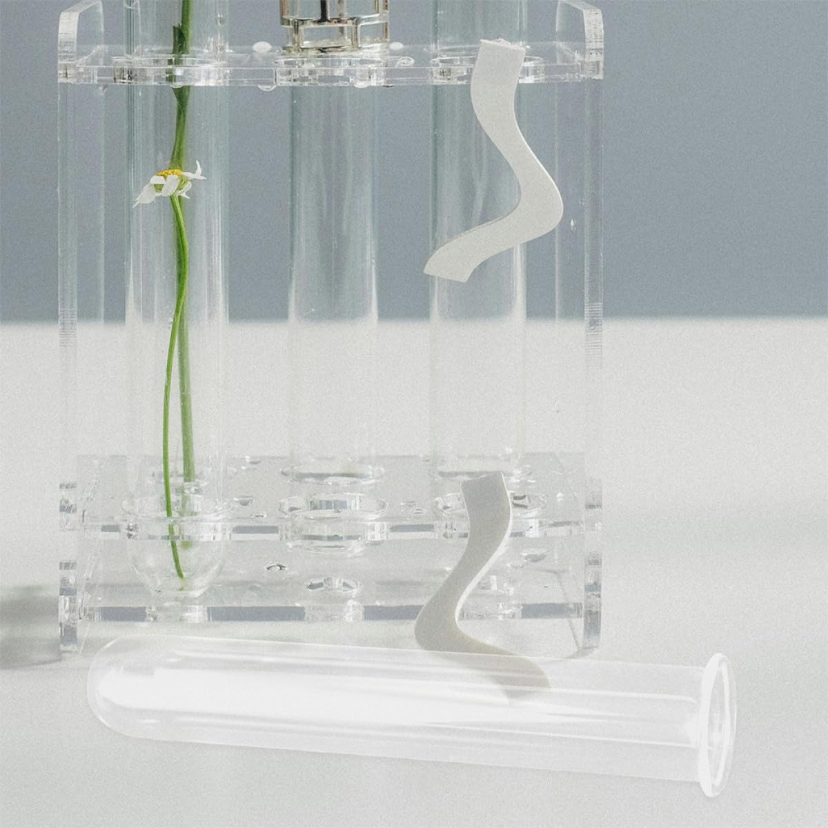 HOOTNEE 4pcs Glass Hydroponic Test Tube Vases 2.5x3x18cm Desktop Terrarium Plant Propagation Holders Floral Water Planter Tubes for Home Décor and Office Use