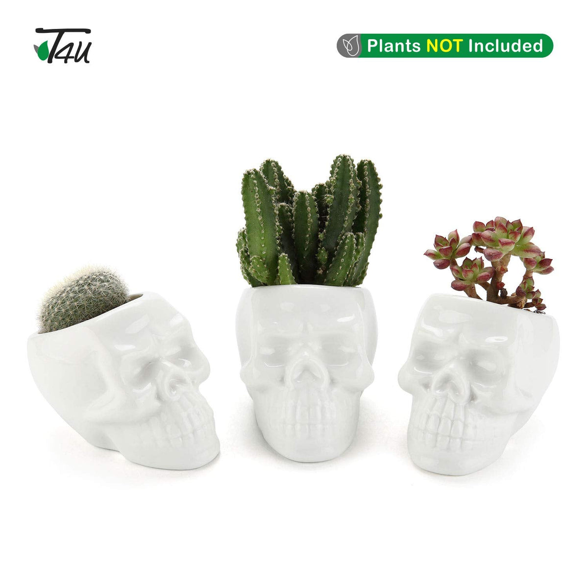 T4U Skull Succulent Planter Pots Set of 3, Gothic Caramic Planter, Creative Plant Lover Gifts for Christmas Birthday House Warming, Cactus Plant Pot Pen Pencil Holder for Home Office Decor, White
