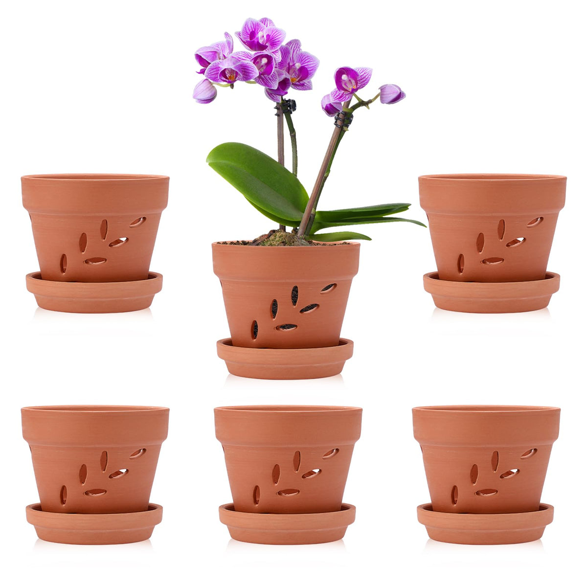 JUXYES 6 Pack Small Terracotta Orchid Pots with Holes and Saucers, Clay Orchid Planter Pots for Repotting, Plant Flower Pots for Orchid Indoor and Outdoor Promotes Air Circulation, 4 Inches