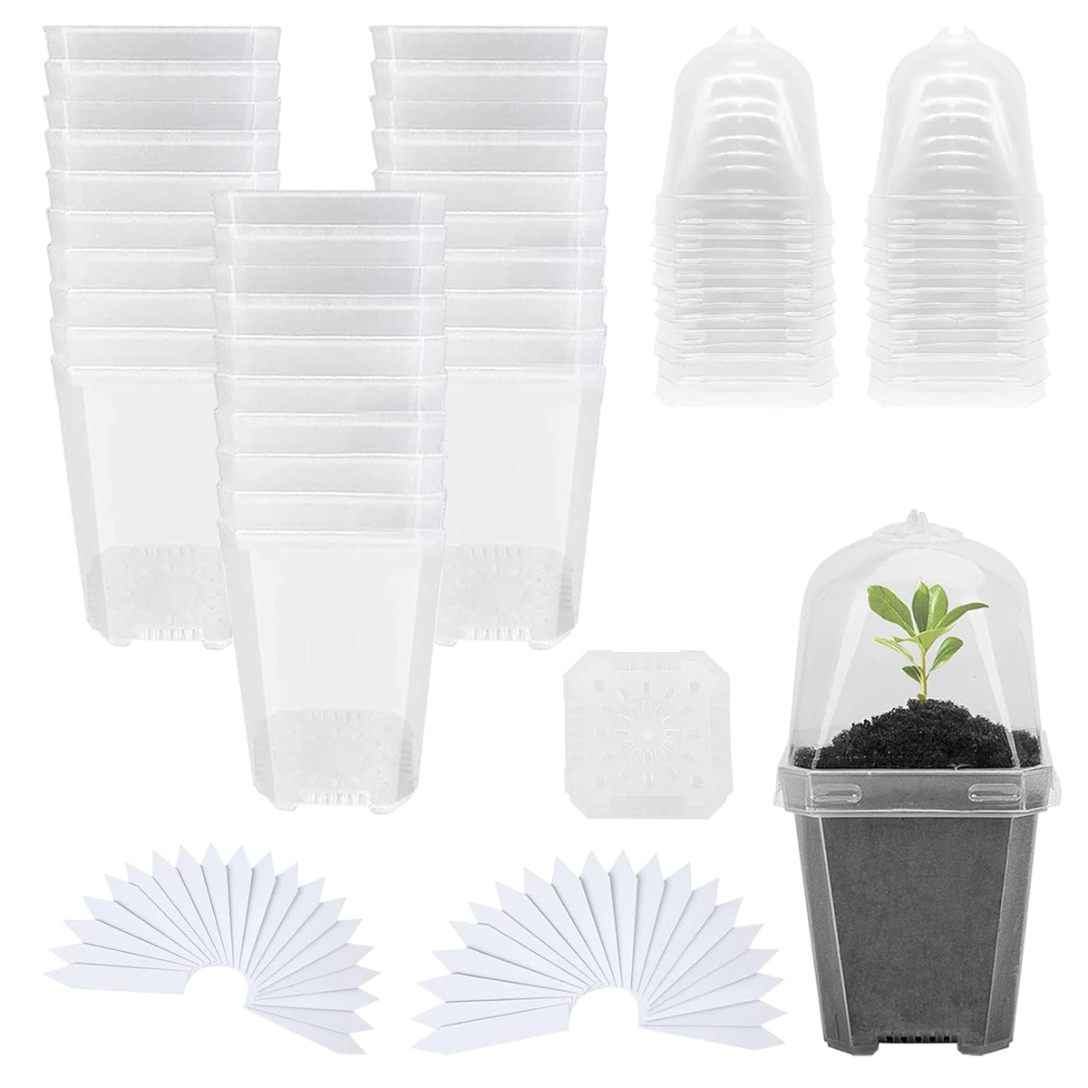 Hyuetrsa 30 Sets Plant Nursery Pots with Humidity Domes, 3" Plastic Gardening Pot with 30 Pcs Labels, Clear Seed Starting Pot Planter Containers with Drain Holes for Seedlings Vegetables Succulents