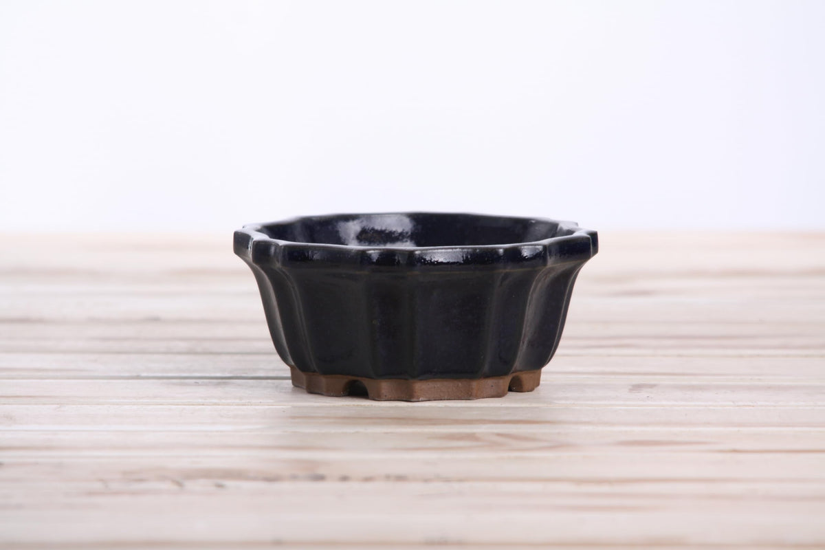 Willow Bonsai Ceramics Flower Design Bonsai Pot 4.5 Inch – Elegant Ceramic Bonsai & Succulent Planter, High‑Fired Frost‑Proof Stoneware with Drainage & Wiring Holes, Handmade in USA (Ruri)