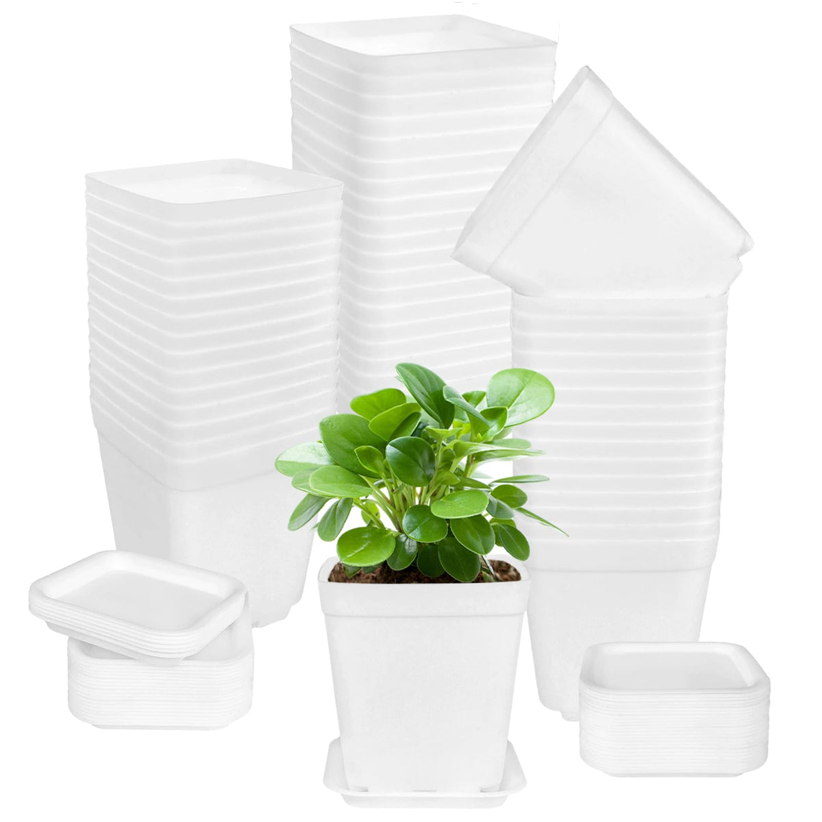 OJYUDD 72 Pcs 3 Inch White Square Plastic Pots with Saucer,White Plastic Plant Seedling Pots,Seedling Nursery Pots Indoor Outdoor for Succulents/Plant,Garden,Office and Balcony Decor