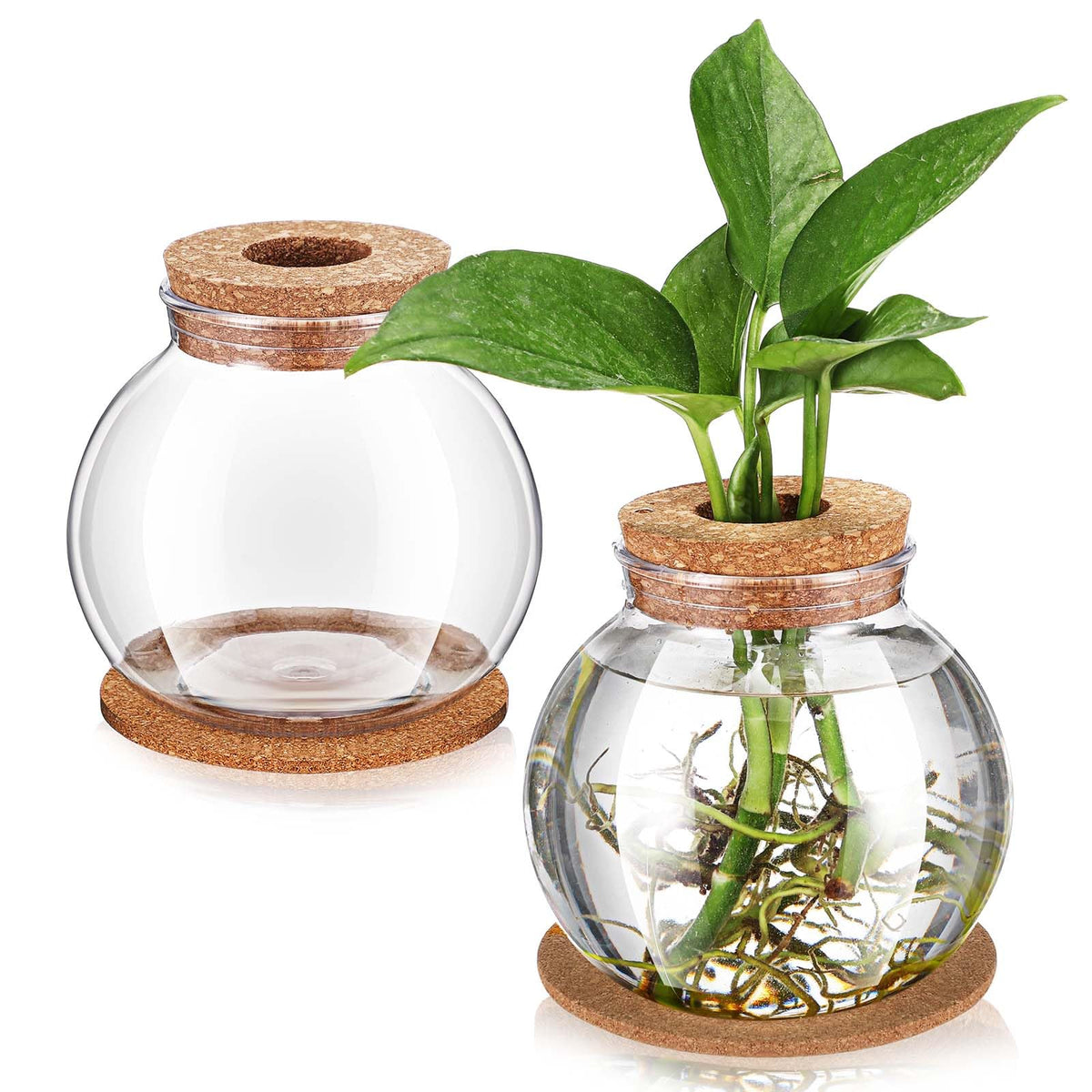 Baderke 2 Packs Propagation Vases for Plants Plastic Plant Propagation Station with Hole Lid and Cork Coasters Plant Growing in Water Hydroponic Home Office Table Decoration(Fish Bowl Style)