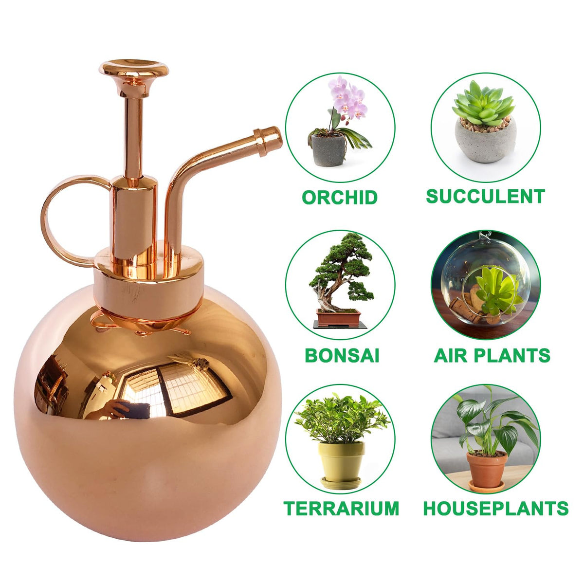 Lianshi Stainless Steel Plant Sprayer, Small Watering Can Plant Misting Bottle, Modern Gardening Tools for Indoor Potted Plants Watering and Misting