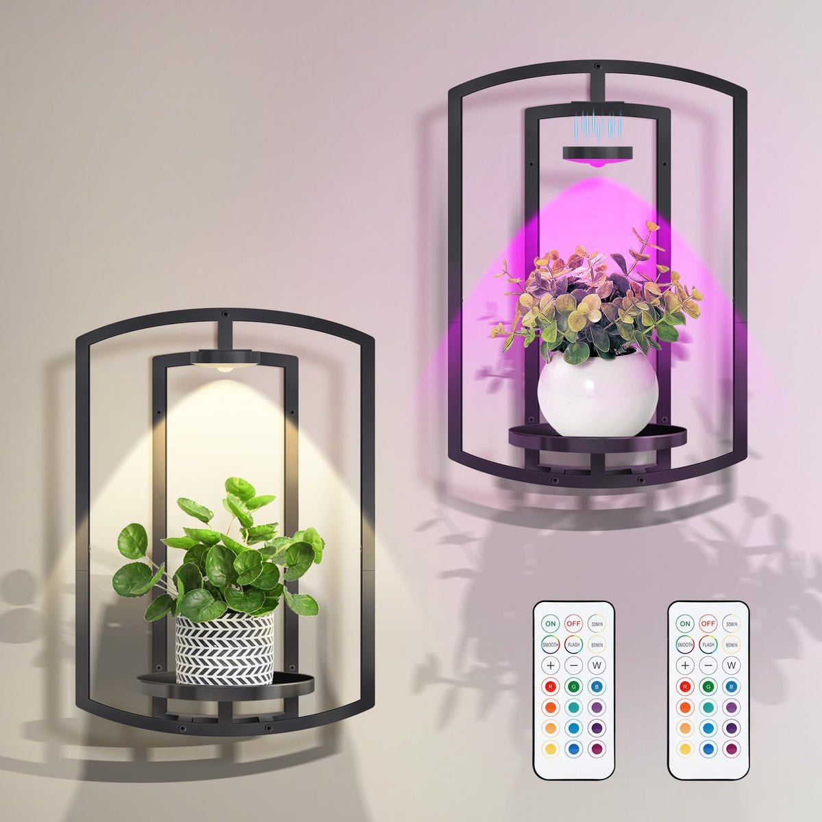 AUCCNT Wall Plant Holder with Remote Grow Lights, Framed Plants Holder for Indoor Plants Wall Decor, Living Room Plant Stand, Window Plant Shelves, 1 Pack