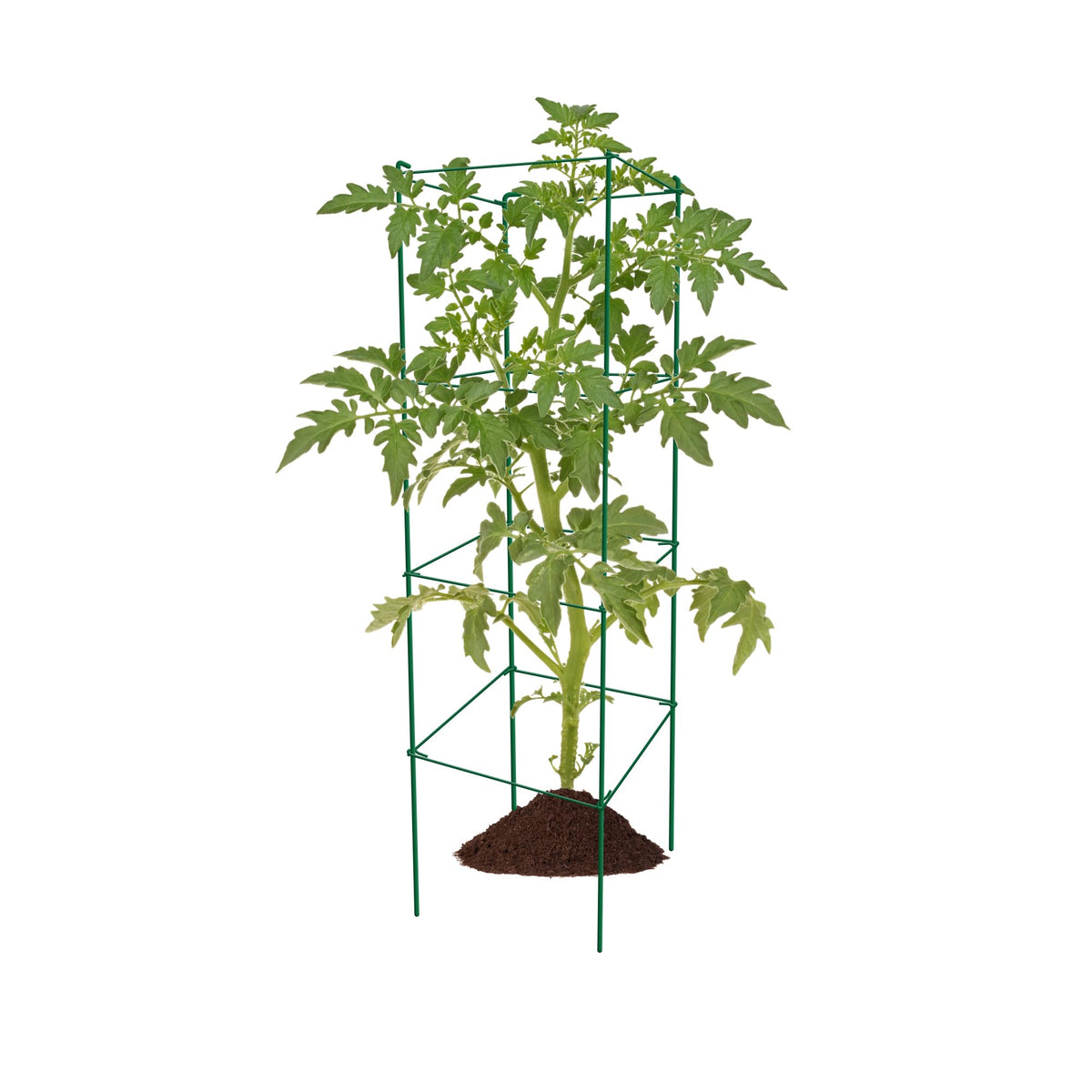 Thealyn Tomato Cages 6 Packs 46 Inches (H) Plant Stand with 164 Feet Twist Ties, Heavy Duty Garden Plants Support for Tomatoes, Cucumber, and Other Climbing Plants (Green)