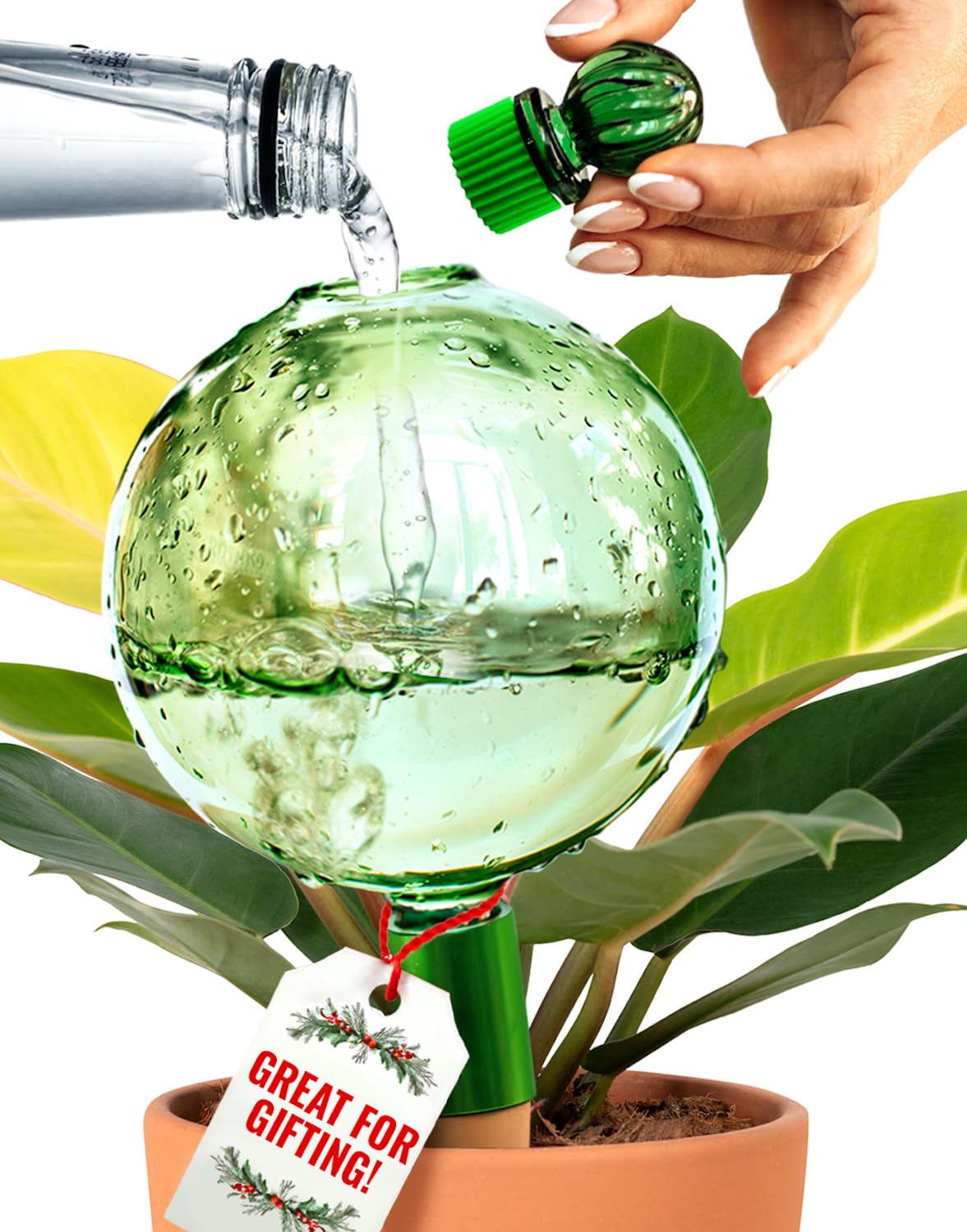 16 Oz Plant Watering Globes for Indoor Plants with Terracotta Self Watering Planter Insert - Hand-Blown XL Glass Globes - Automatic Indoor Planter Waterer, Gift Idea for Gardeners [1, Emerald]