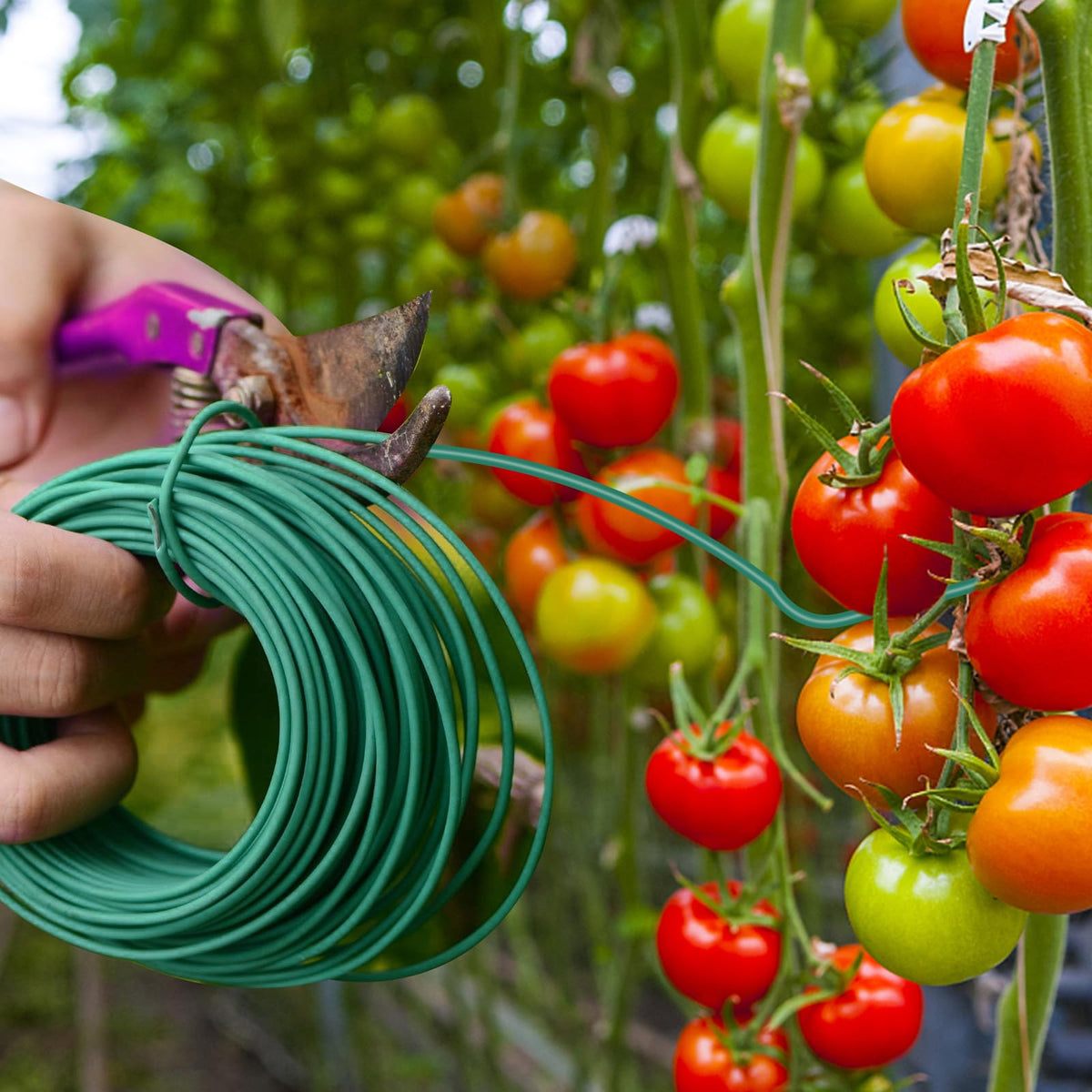 YDSL 100 Feet Soft Tie for Plants, 3 Pack Green Twist Garden Ties Gardening Supplies for Supporting Climbing Plants, Tomatoes, Vegetables, (Diameter - 2.5MM)