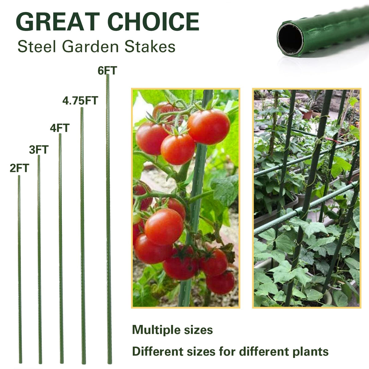 Sprigra Plant Stakes 6ft, Steel Garden Stakes 6 Feet 25 Pack, Sturdy Plant Support for Climbing Plants, Tomatoes, Beans, Cucumbers, Peppers, Flowers, Potted, Strengthen and Stem to Grow Better
