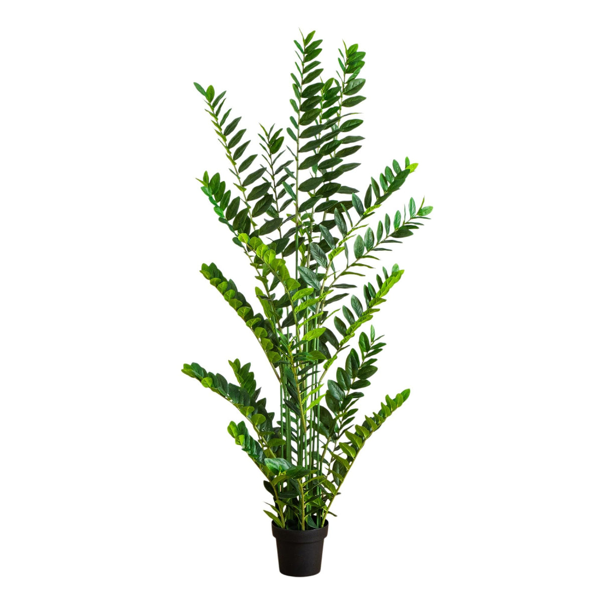 Nearly Natural 6ft Artificial Zamioculcas Plant - Realistic Faux Plant for Home Decor - Premium Materials - Bendable Branches - Year-Round Greenery - Nursery Planter Included