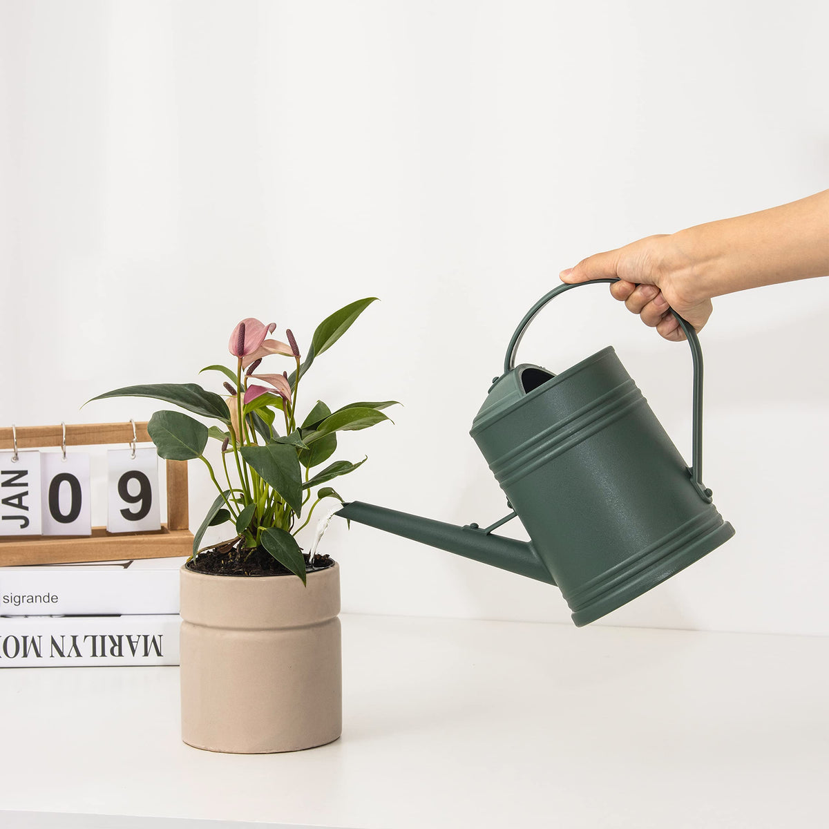 Plastic Indoor Watering Can with Sprinkler Head - 68 oz, 1/2 Gallon
