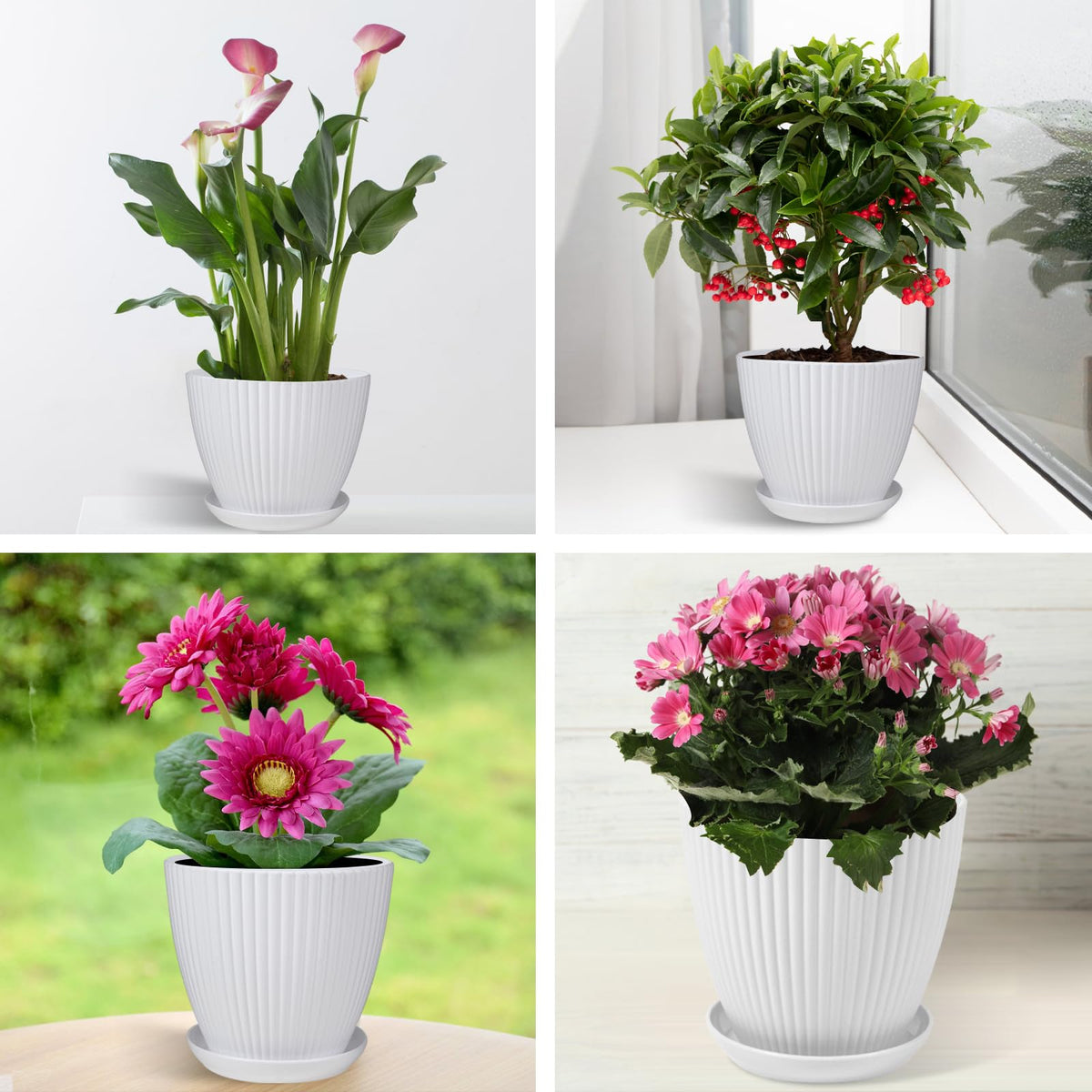 MUXINCAMP 7 Inch Large Plant Pots, 6 Pack Flower Pots with Drainage Hole and Tray Saucer Plastic Plant Pot for Outdoor Indoor House Plants and Flowers Herbs (White)