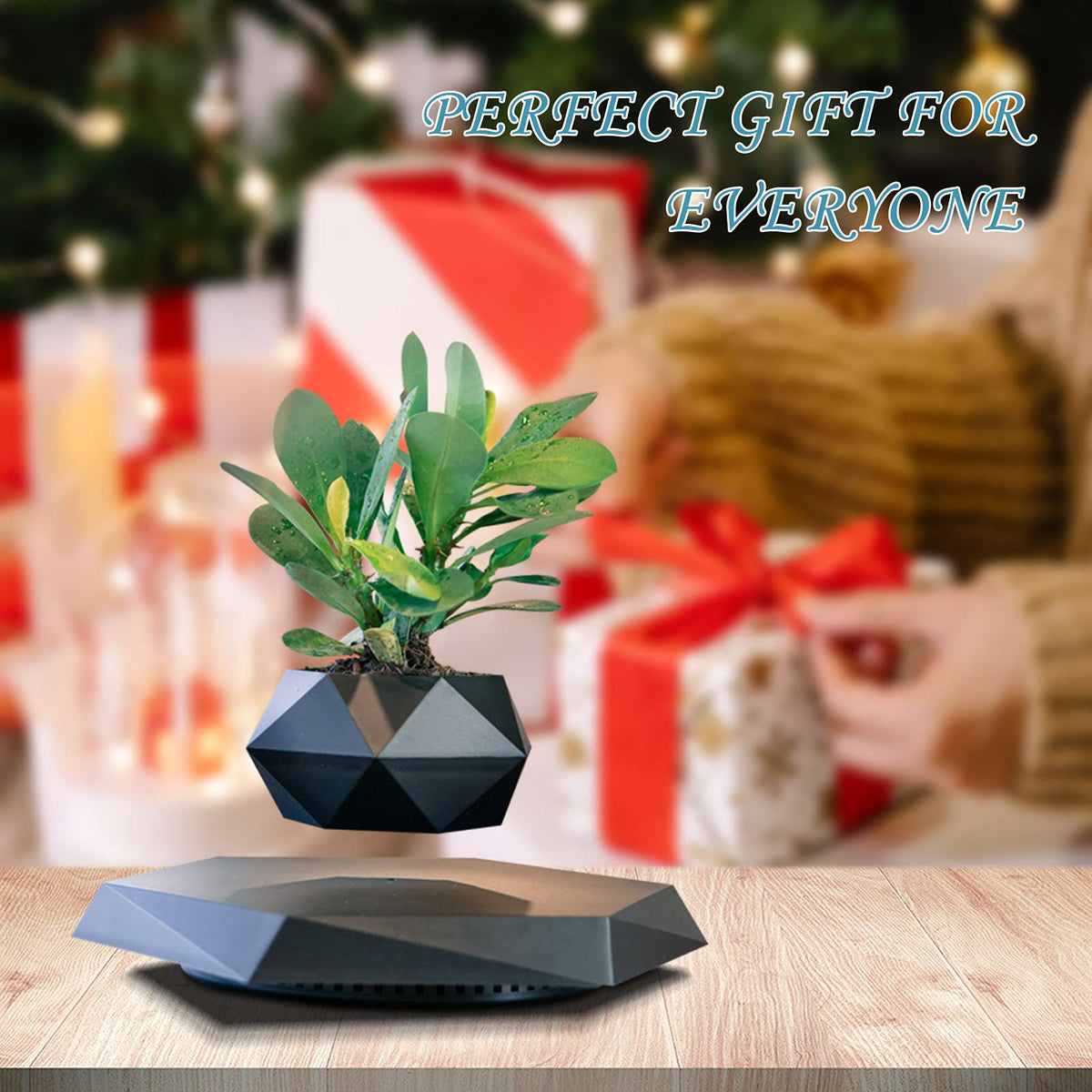 HCNT Levitating Plant Pot, Magnetic Levitation Flower Pot Rotating Planters Suspension Floating Plant Succulents Potted for Home Living Room Office Desk Decoration (Black)