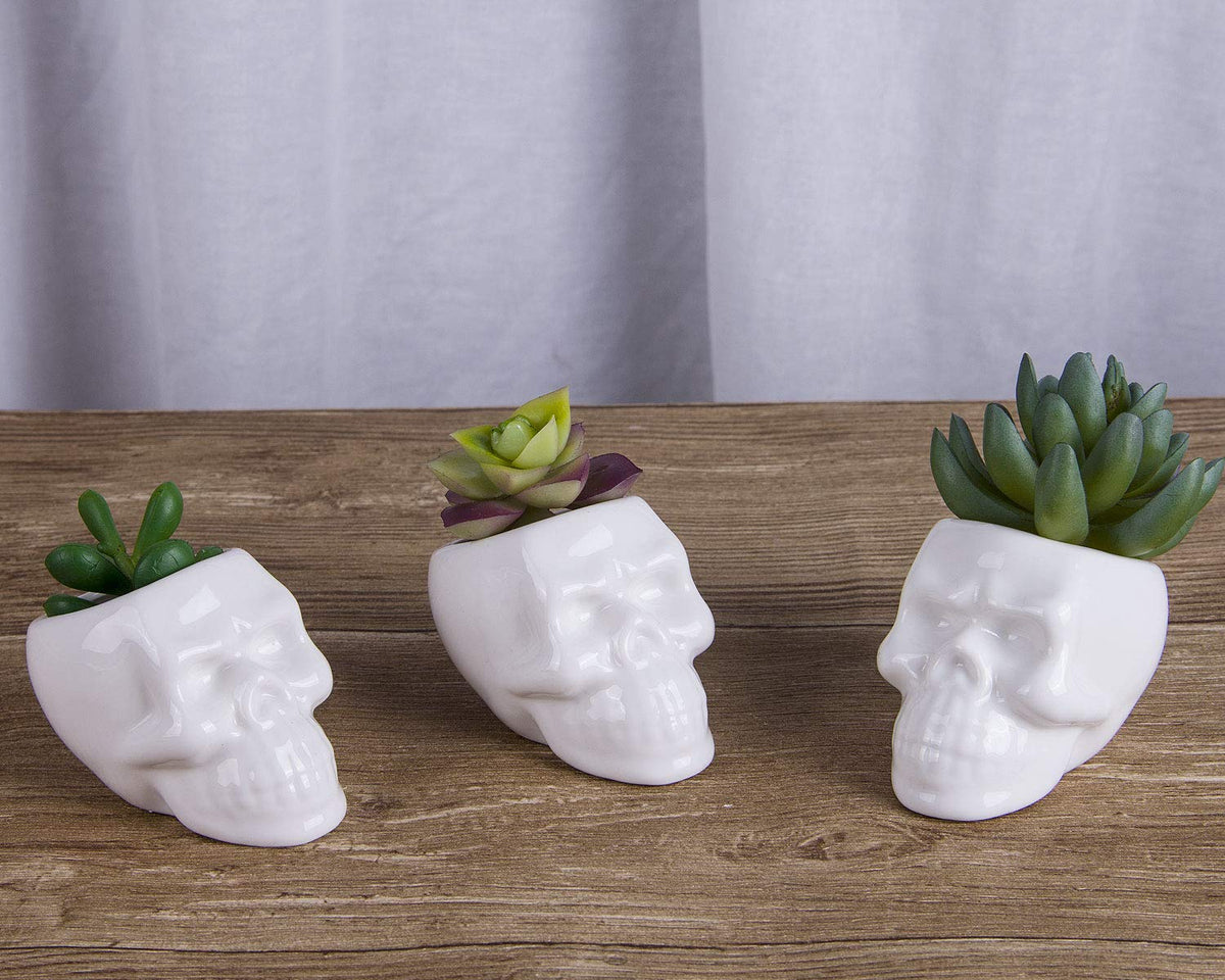 VanEnjoy Set of 3 Ceramic Skull Succulent Pots and Planters Creative Cactus Plant Pot Pen Pencil Holder, Home Office Bedroom Desk Decoration