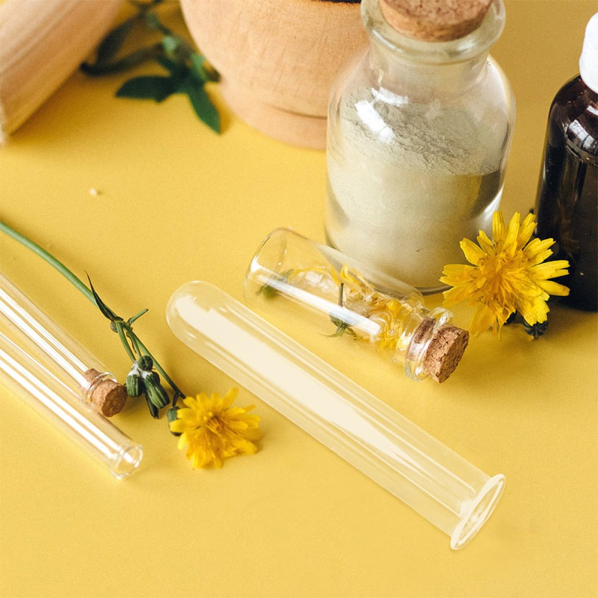 COOLHIYA 4Pcs Glass Test Tube Vases 2.5X18Cm Hydroponic Plant Holder Decorative Desktop Glass Planter Vase for Propagation and Small Terrariums
