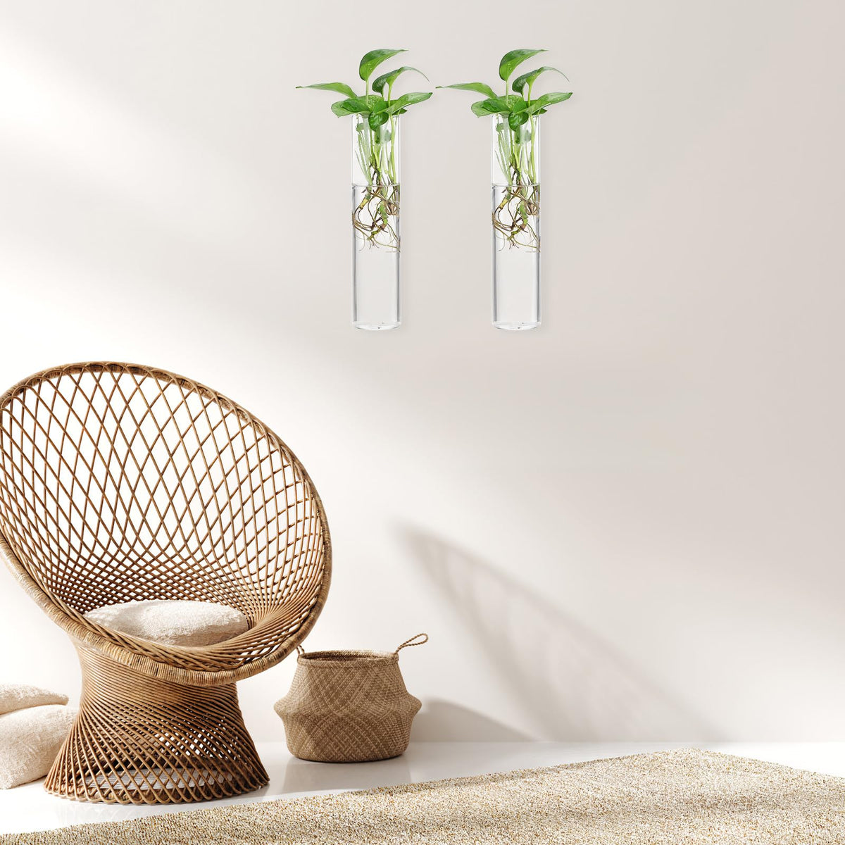 Beavorty Cylinder Glass Wall Vase Set for Propagation Stations, 2pcs Hanging Terrarium Plants Holder, Glass Wall Planter for Indoor Hydroponic Plant Display and Modern Home Décor