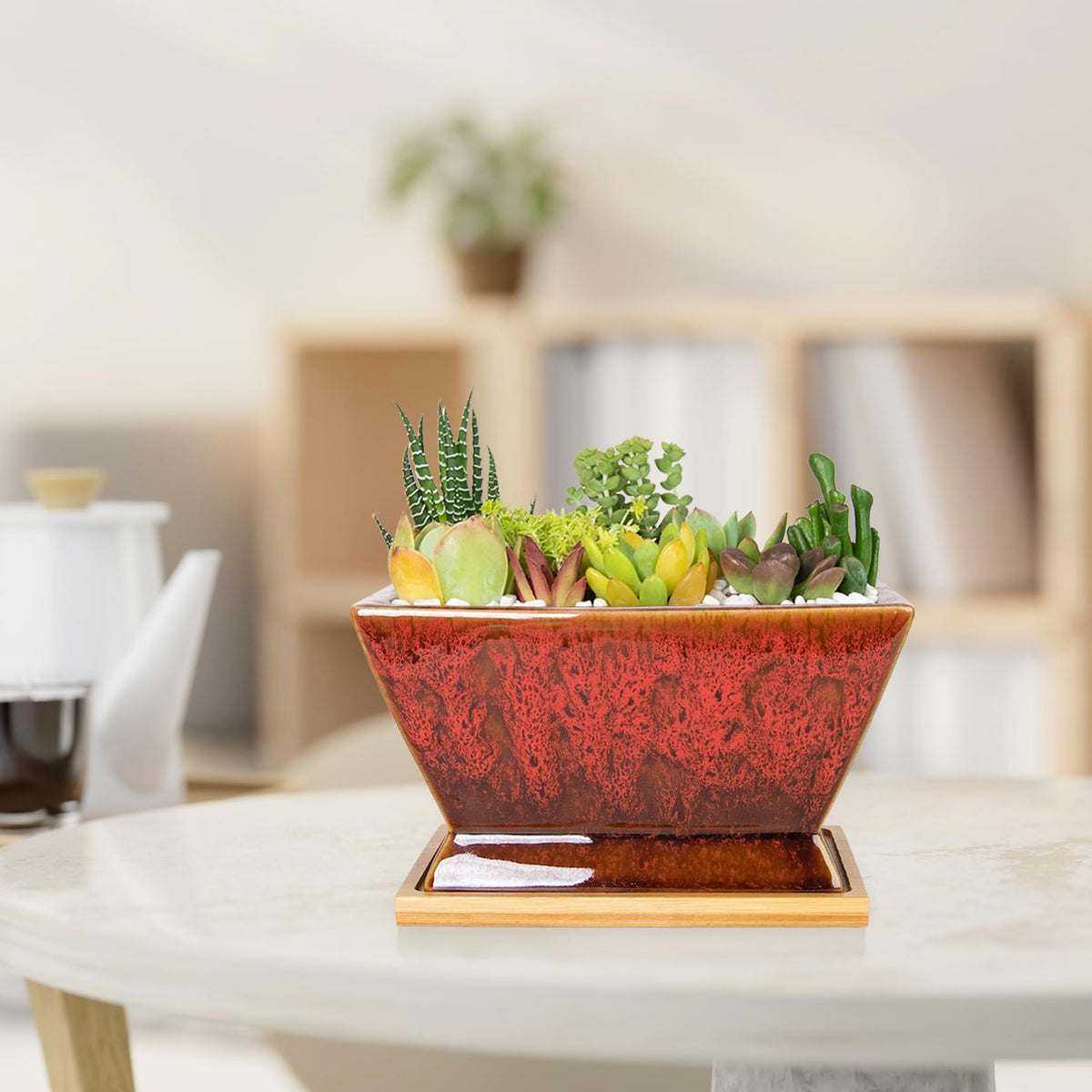 ARTKETTY Succulent Pots - 7 Inch Large Plant Pot with Drainage Tray, Shallow Ceramic Pots for Indoor Plants, Modern Cactus Bonsai Plant Container Decorative Home Office
