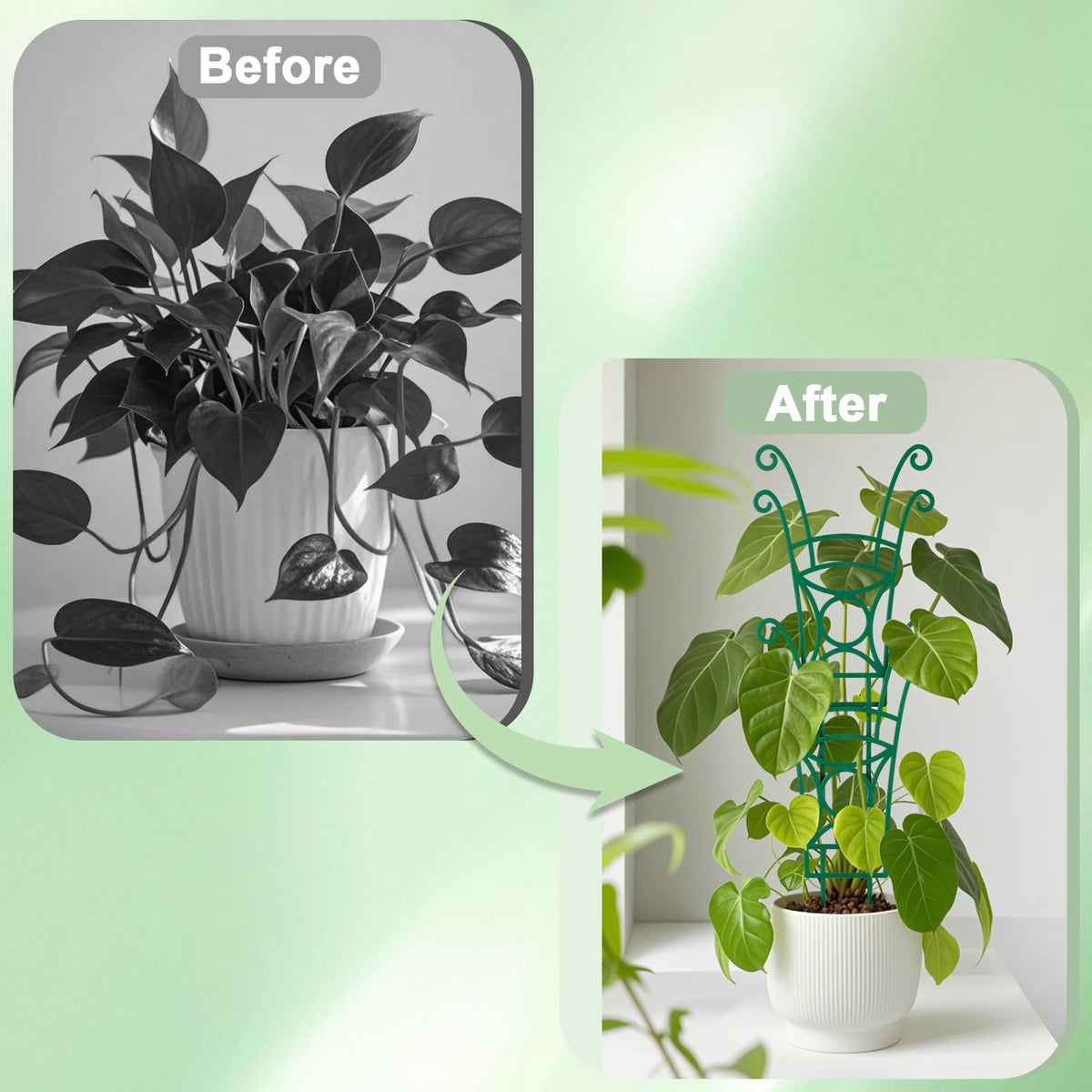 4 Pack Stackable Plant Trellis for Climbing Plants, Indoor/Outdoor Garden Trellis, Plant Support for Vine Ivy Hoya & Houseplants Flower