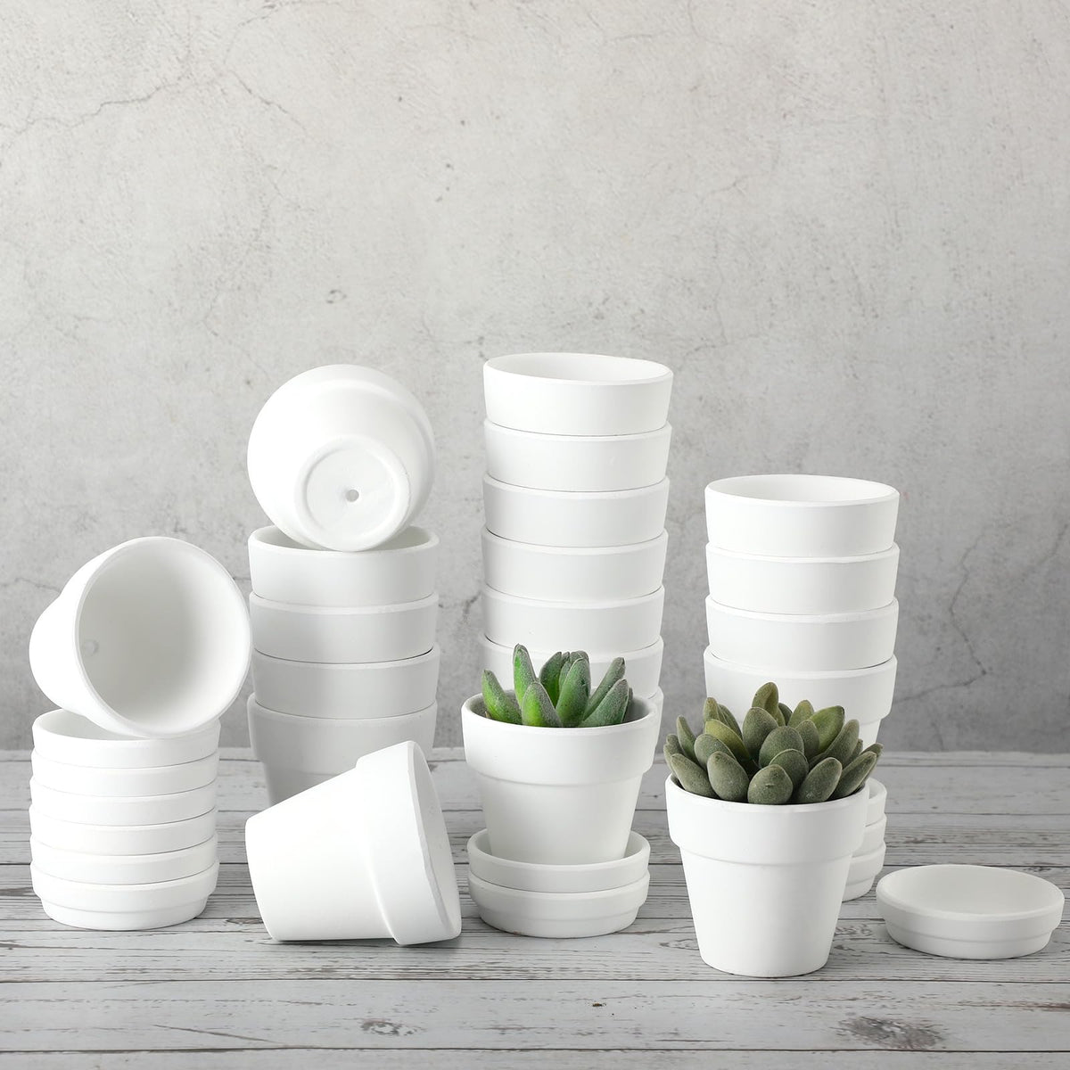 Lallisa 36 Pieces 3 Inch Mini Terracotta Pots with Saucers and Drainage Hole White Paintable Pottery Small Clay Pots for Crafts Mini Planters for Succulents Cactus Flowers Garden Crafts Wedding Decor