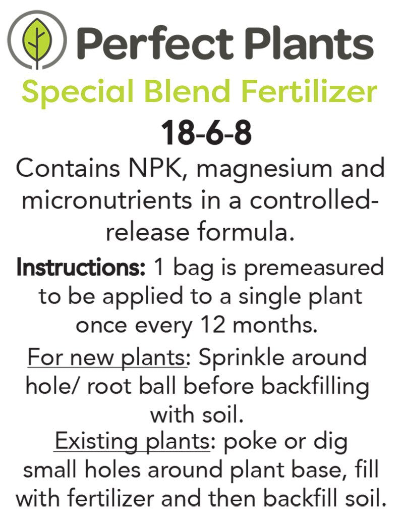 Pineapple PEAR Tree - Size: 3-4 ft, Live Plant, Includes Special Blend Fertilizer & Planting Guide
