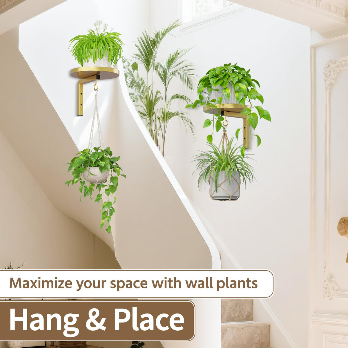 LASZOLA Plant Hangers Shelves Wall Mounted Indoor, Metal Window Plant Holders, 2Pcs Modern Floating Flower Display Stand with 2 Hooks for Outdoor Kitchen Bathroom Decor, Gold