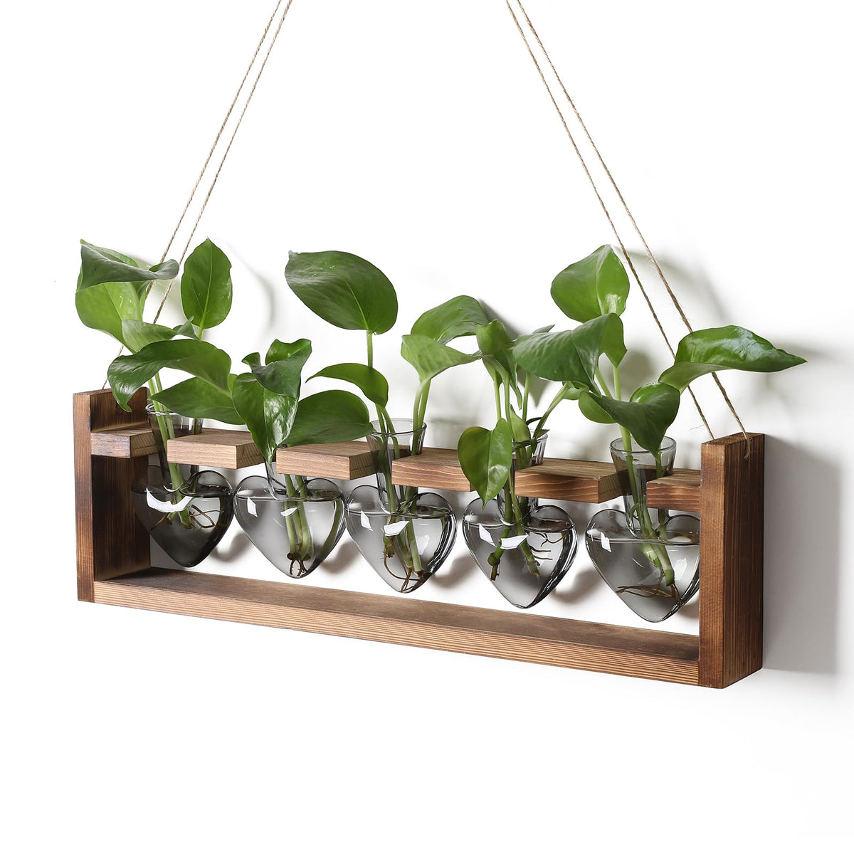 Plant Terrarium Hanging Propagation Stations Gift for Women Air Plants Holder with Wooden Stand Heart Glass
