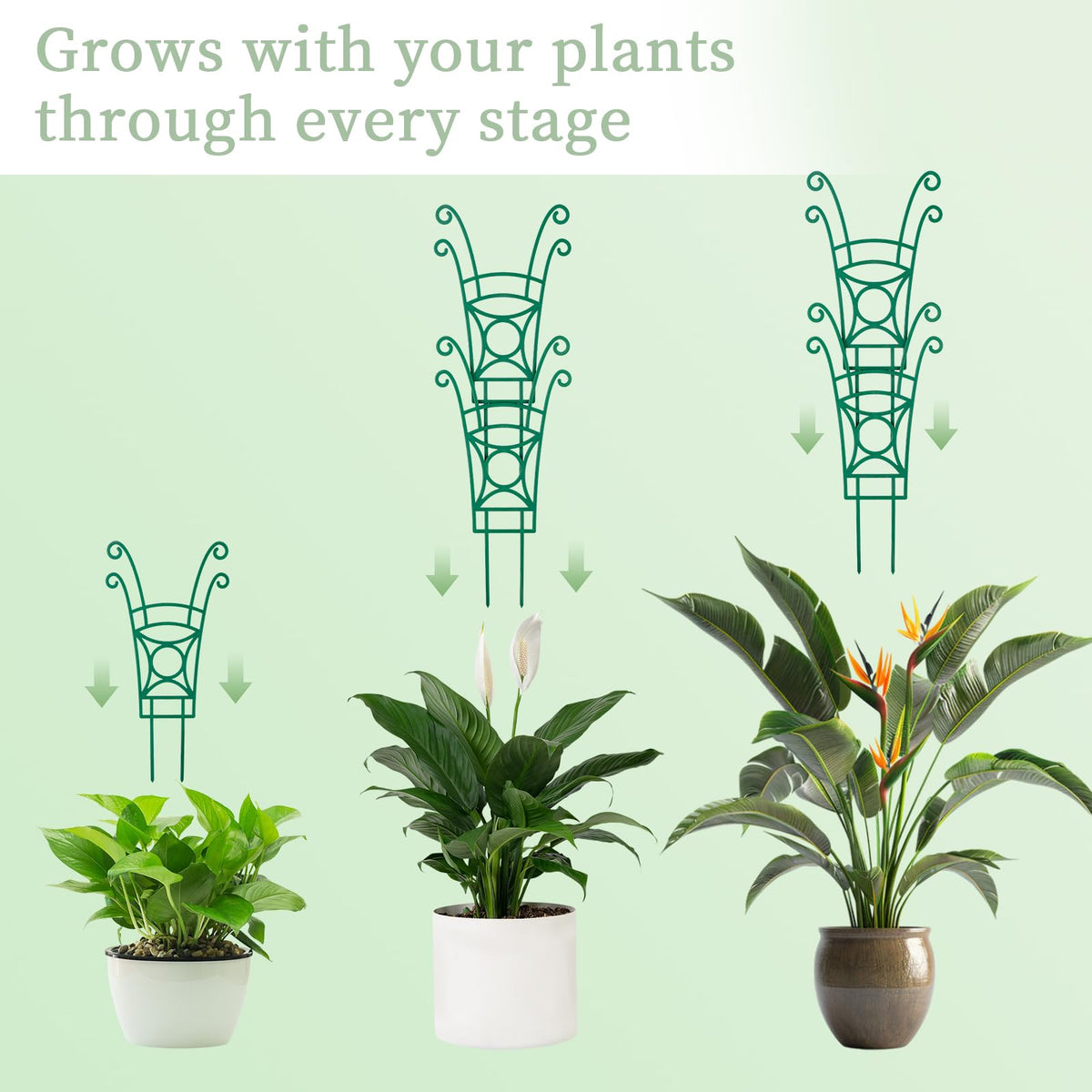 4 Pack Stackable Plant Trellis for Climbing Plants, Indoor/Outdoor Garden Trellis, Plant Support for Vine Ivy Hoya & Houseplants Flower