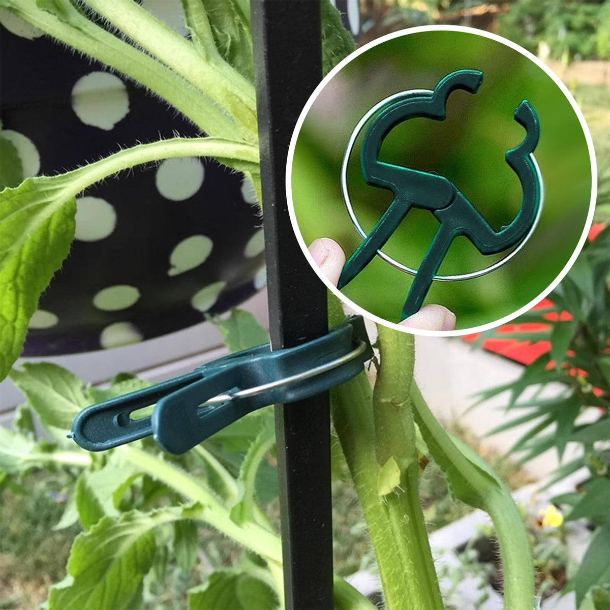Iniscape A Plant Clamp Used for Climbing Plants,Horticultural Clip Used to Support Climbing of Flower Stems, Vines, Vegetables, and Tomatoes,Vine Clip for Garden Vine Training (Green, 120big)