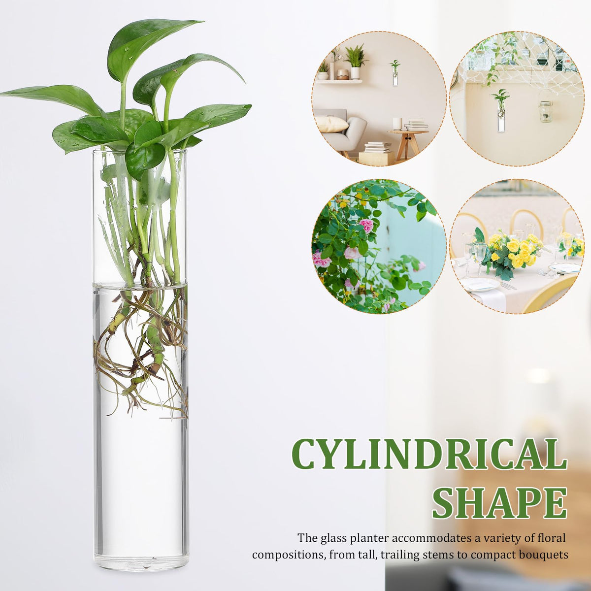 OSOLADY Wall Mounted Glass Cylinder Vases for Plants, Hanging Terrariums Water Propagation Stations, 2pcs Large Round Tube Holders for Indoor Home Décor