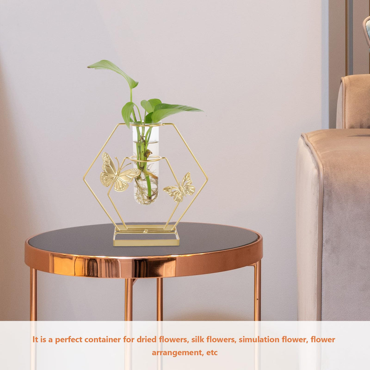 JOINPAYA Hydroponic Glass Flower Vase with Metal Hexagonal Frame, Butterfly Pattern Decorative Desktop Terrarium, Delicate Plant Holder for Home and Office Décor