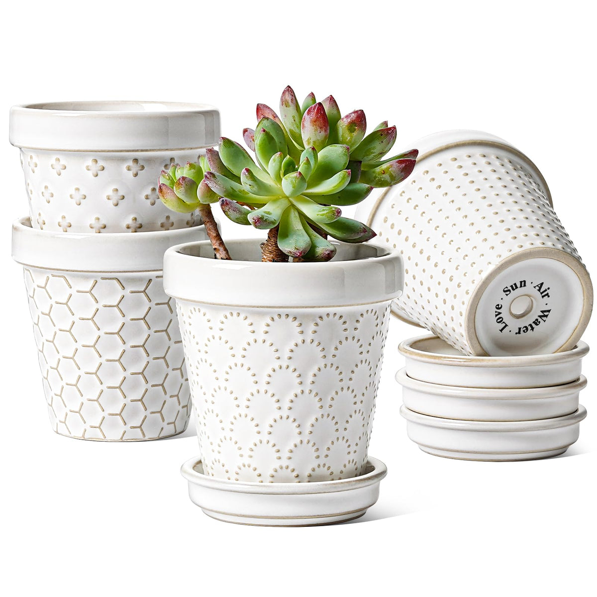 LE TAUCI 3 Inch Mini Succulent Pots - Very Small Ceramic Planter with Saucer, Tiny Embossed Flower Pots for Lithops, Mini Cactus, Air Plants, Fairy Gardens - Indoor Home Decor, Set of 4, Arctic White